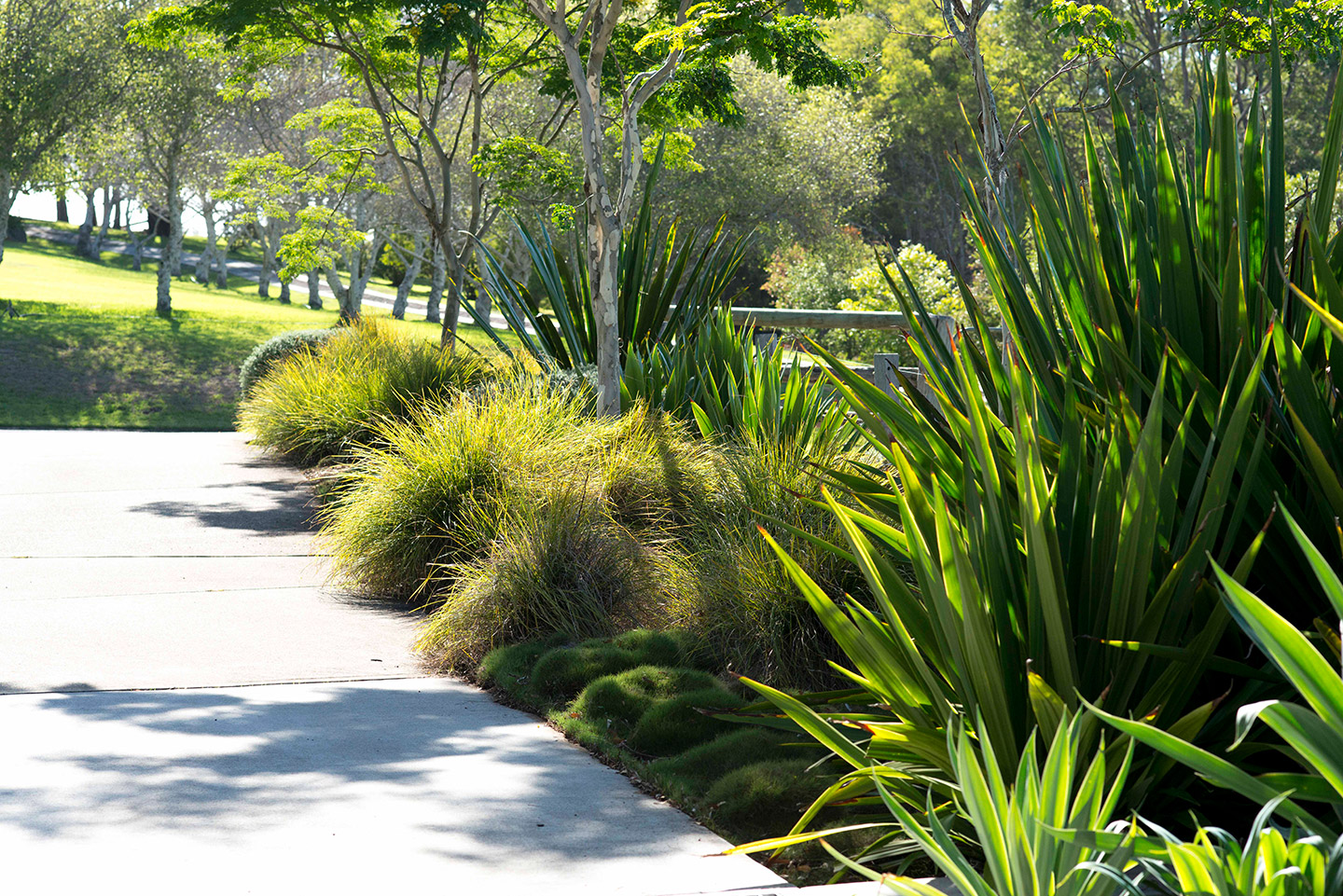 3 Hours North, Diamond Beach - Secret Gardens Landscape
