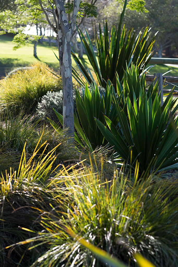 3 Hours North, Diamond Beach - Secret Gardens Landscape