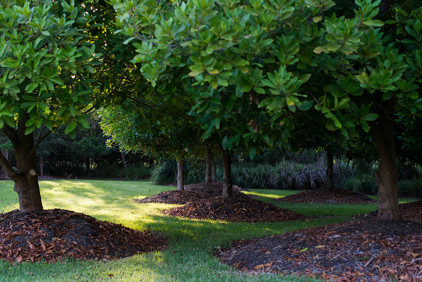 3 Hours North, Diamond Beach - Secret Gardens Landscape