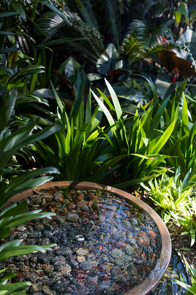 Angophora Garden, Mosman - Secret Gardens Landscape