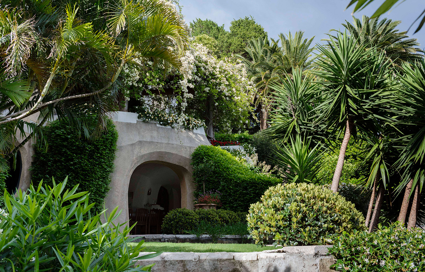 One Of A Kind, Mosman - Secret Gardens Landscape