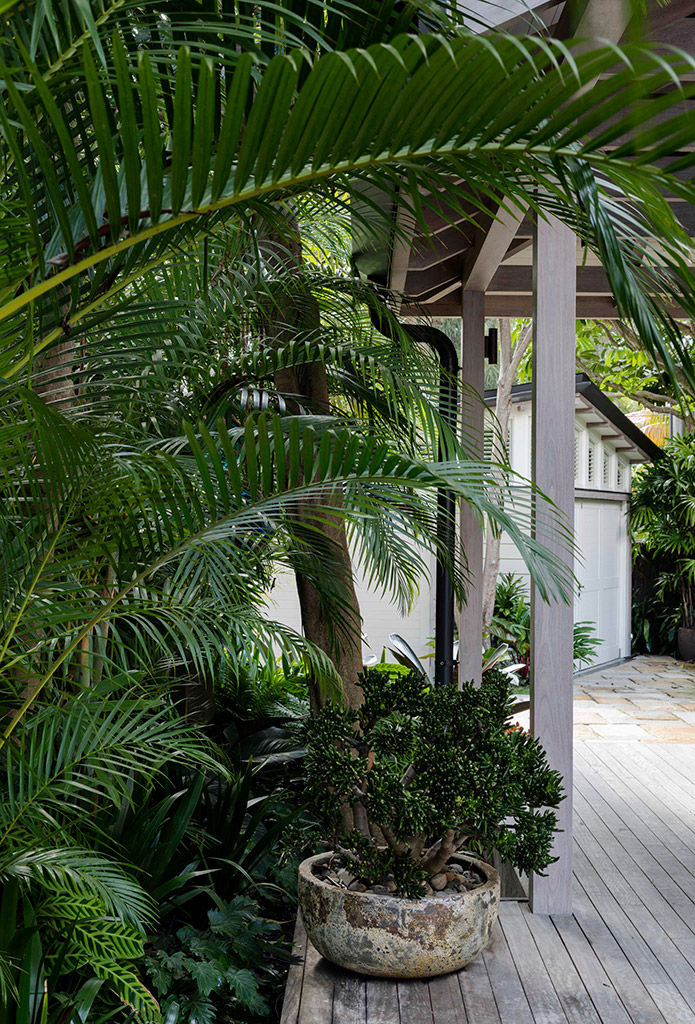 Waters Edge, Palm Beach - Secret Gardens Landscape