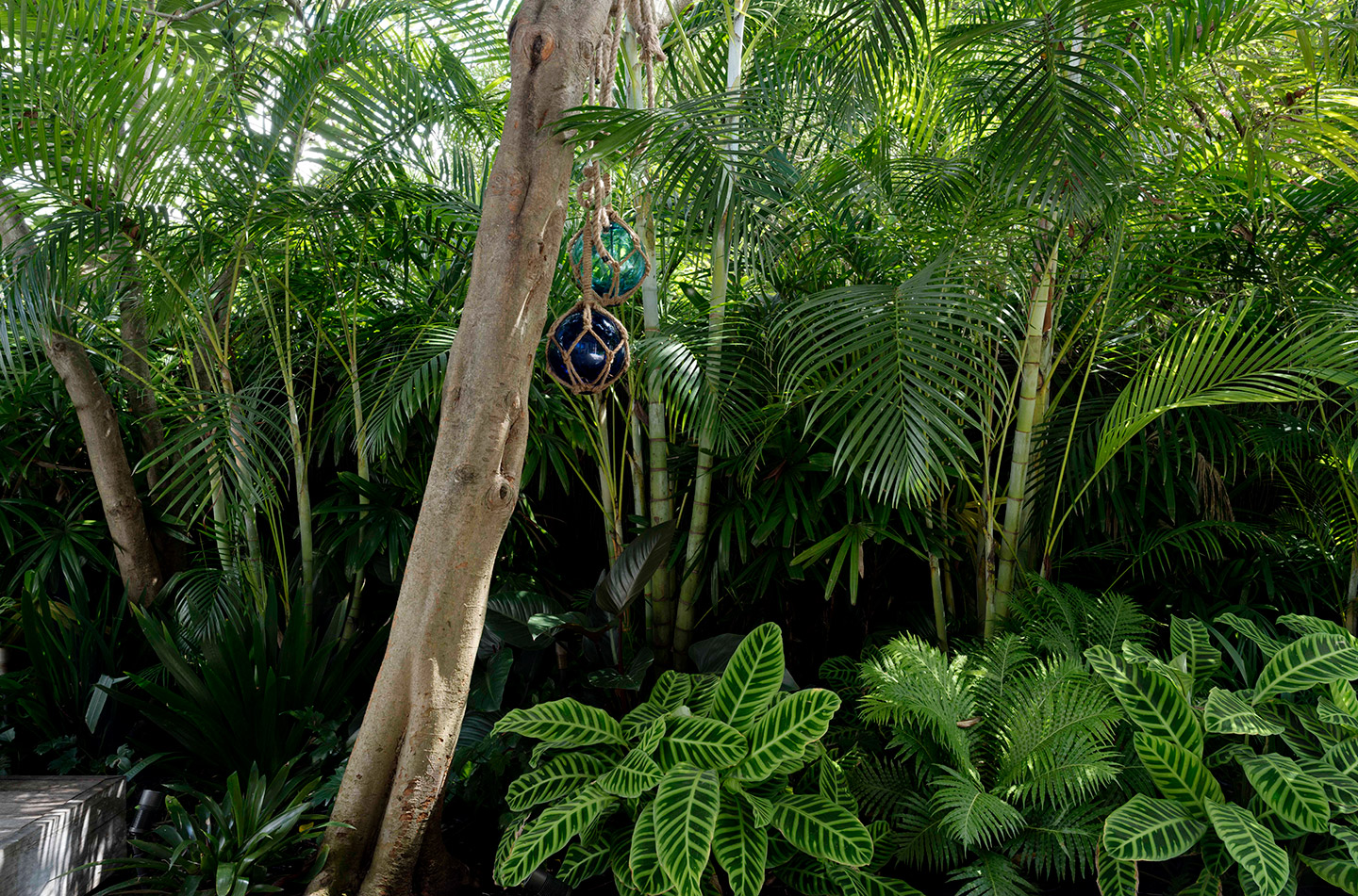 Waters Edge, Palm Beach - Secret Gardens Landscape