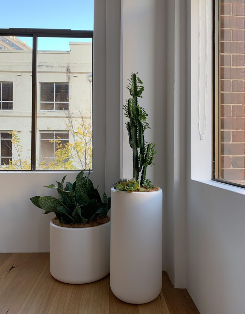 SG_indoorplants006 Secret Gardens Sydney Landscape Architecture