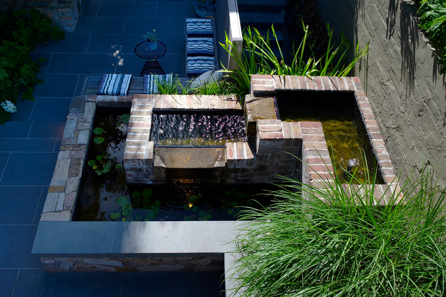 Towngarden, Potts Point - Secret Gardens Landscape