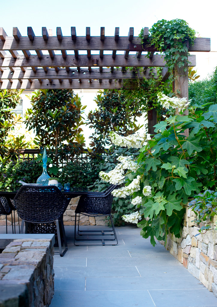 Towngarden, Potts Point - Secret Gardens Landscape