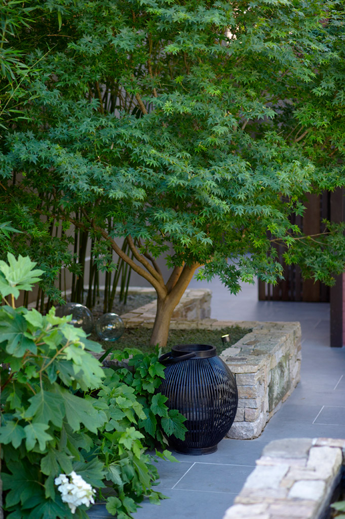 Towngarden, Potts Point - Secret Gardens Landscape