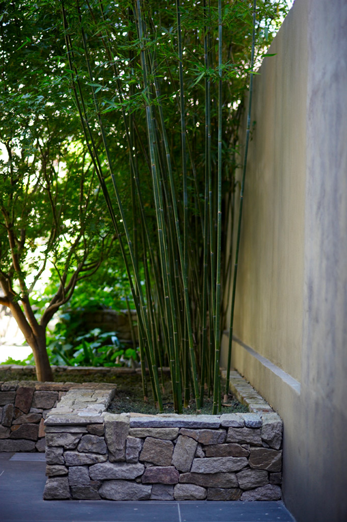 Towngarden, Potts Point - Secret Gardens Landscape