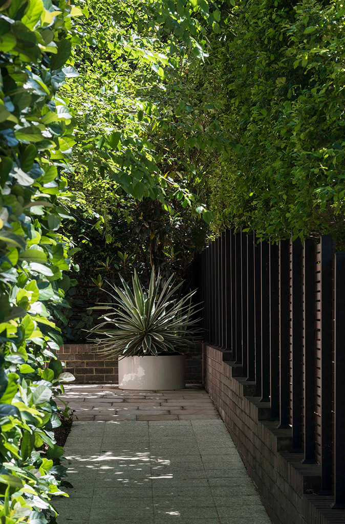 Wirringulla House, Randwick - Secret Gardens Landscape