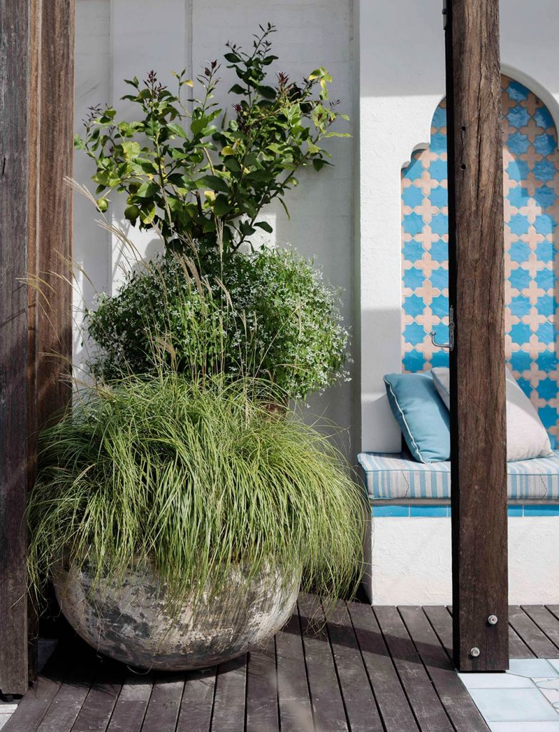 Garden Pots | Secret Gardens: Sydney Landscape Architecture