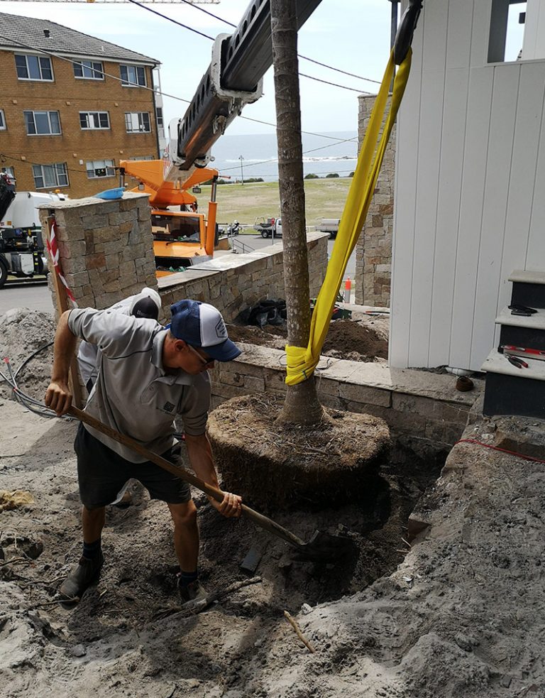Soil Issues Secret Gardens Sydney Landscape Architecture
