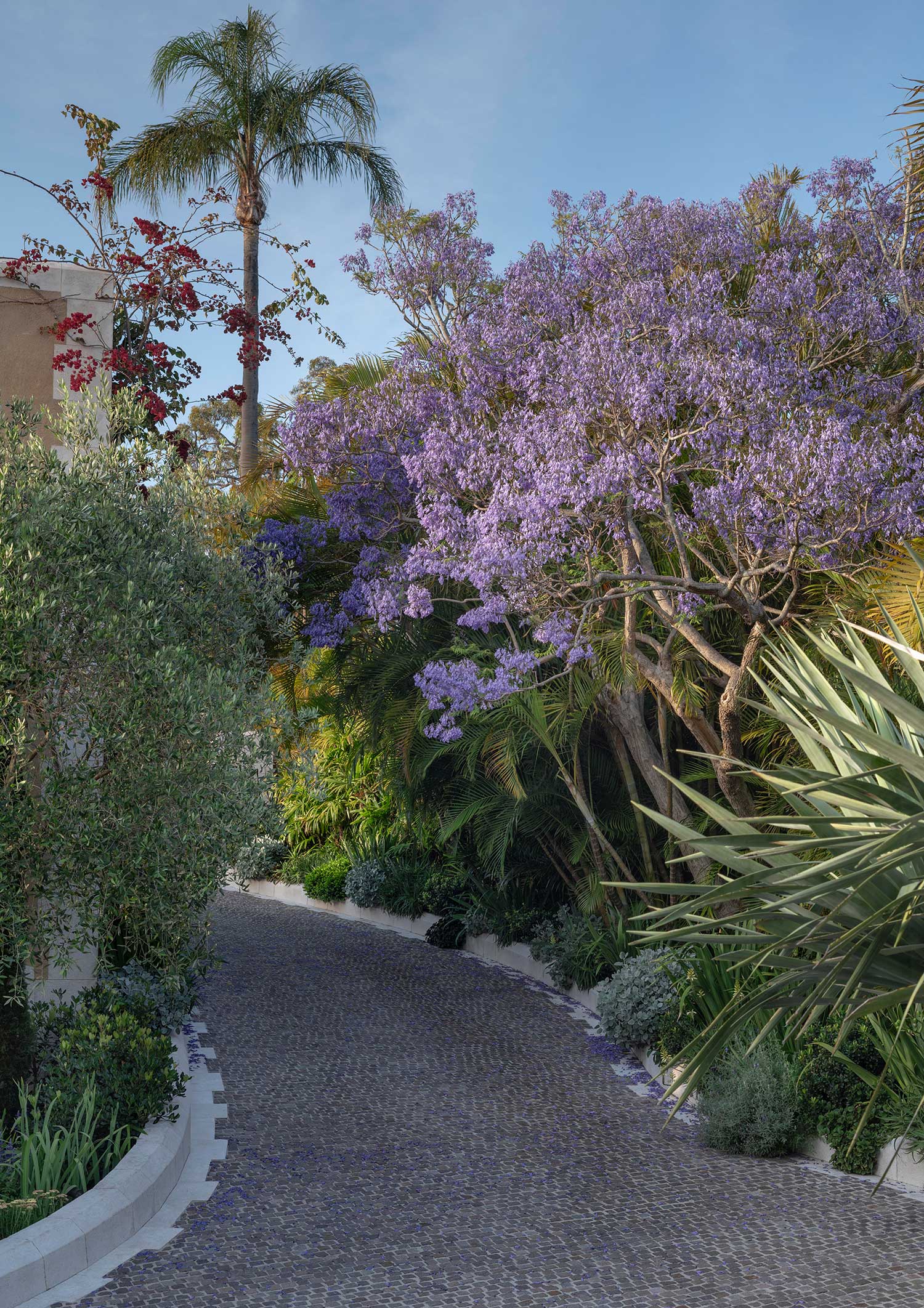 Landscape Design HOPETOUN MOSMAN 08 11 2023 0007