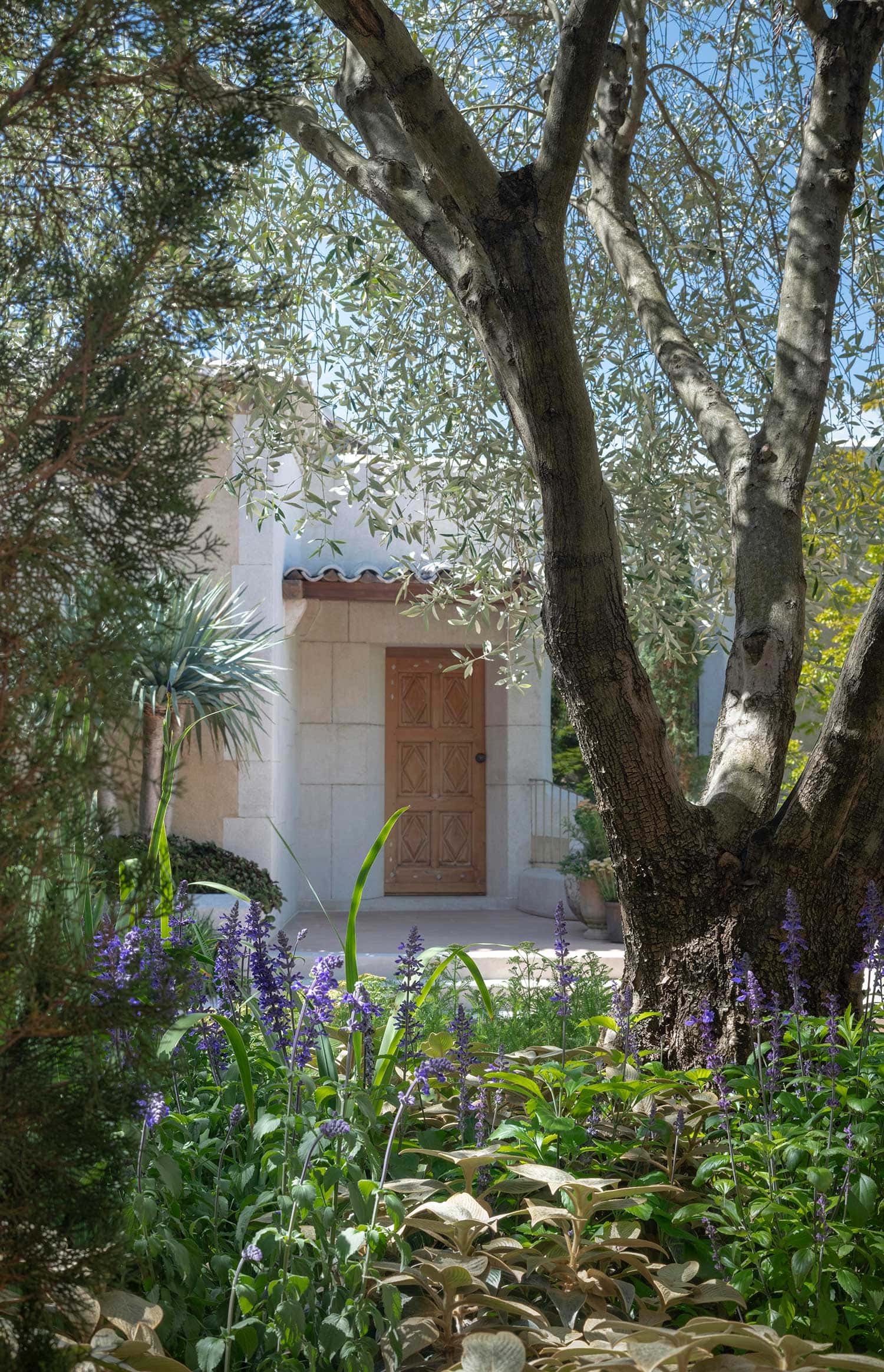 Landscape Design HOPETOUN MOSMAN 08 11 2023 1066