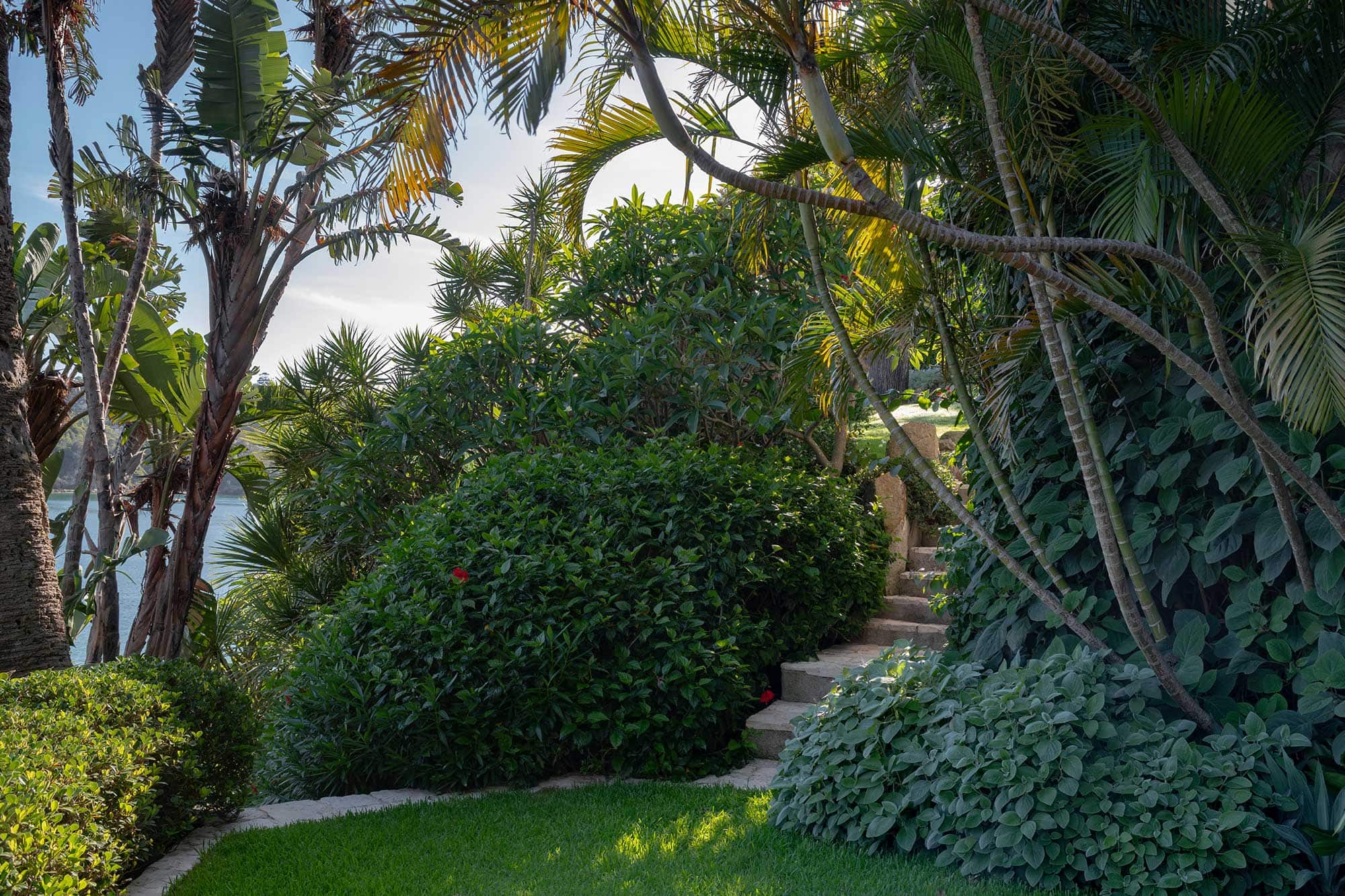 Landscape Design MOSMAN 05 12 23 329