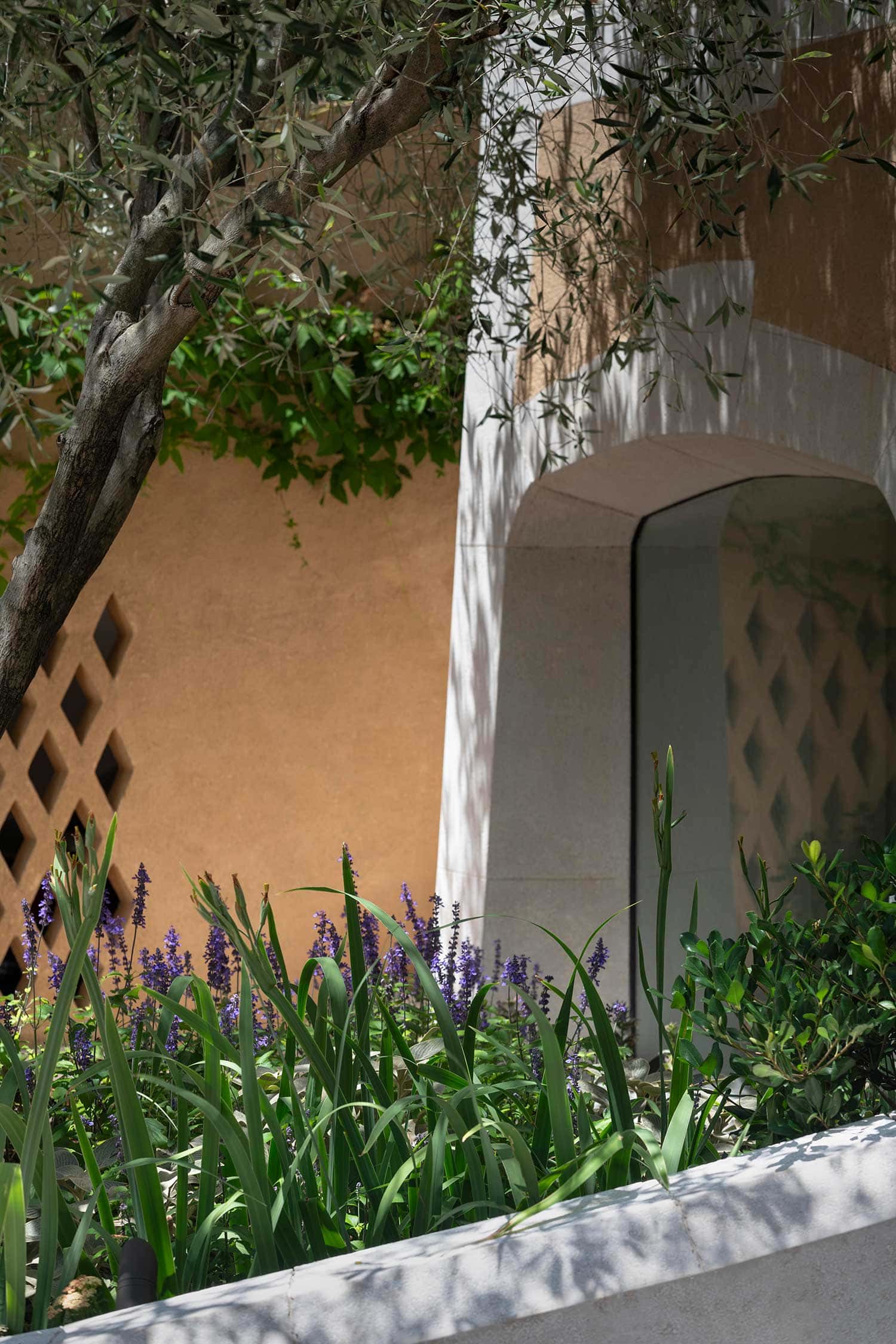 Landscape Design MOSMAN 05 12 23 759