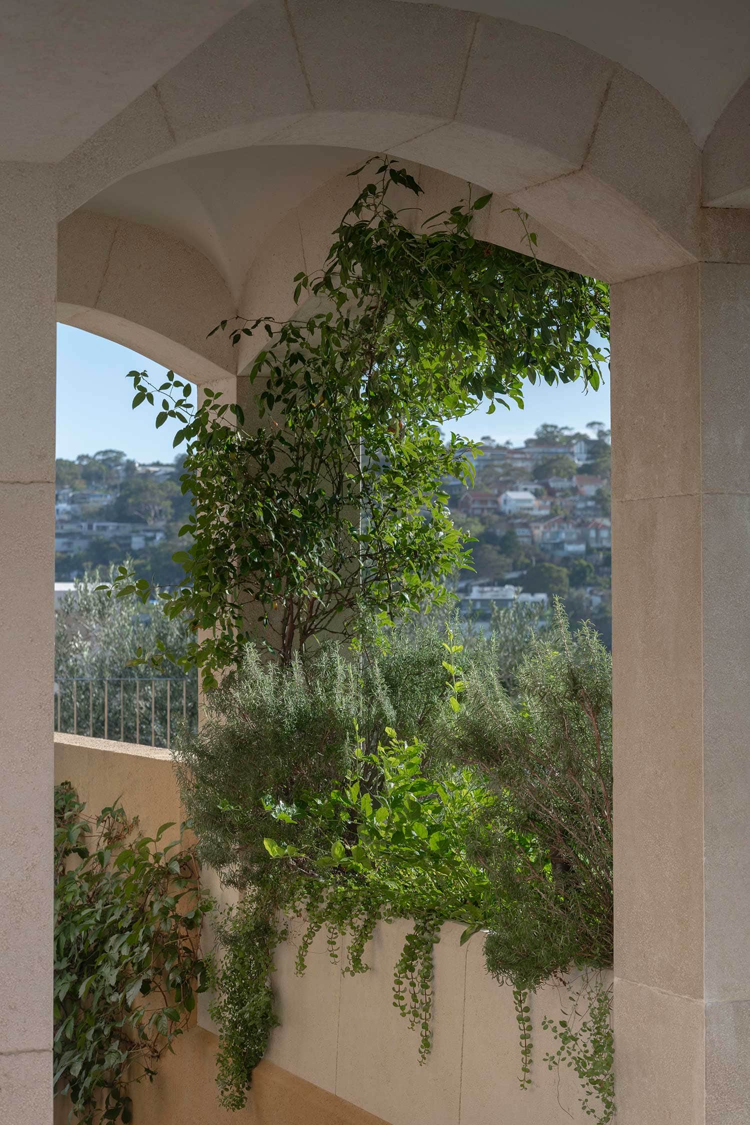 Landscape Design VILLA ROSA 04 02 2026 0178