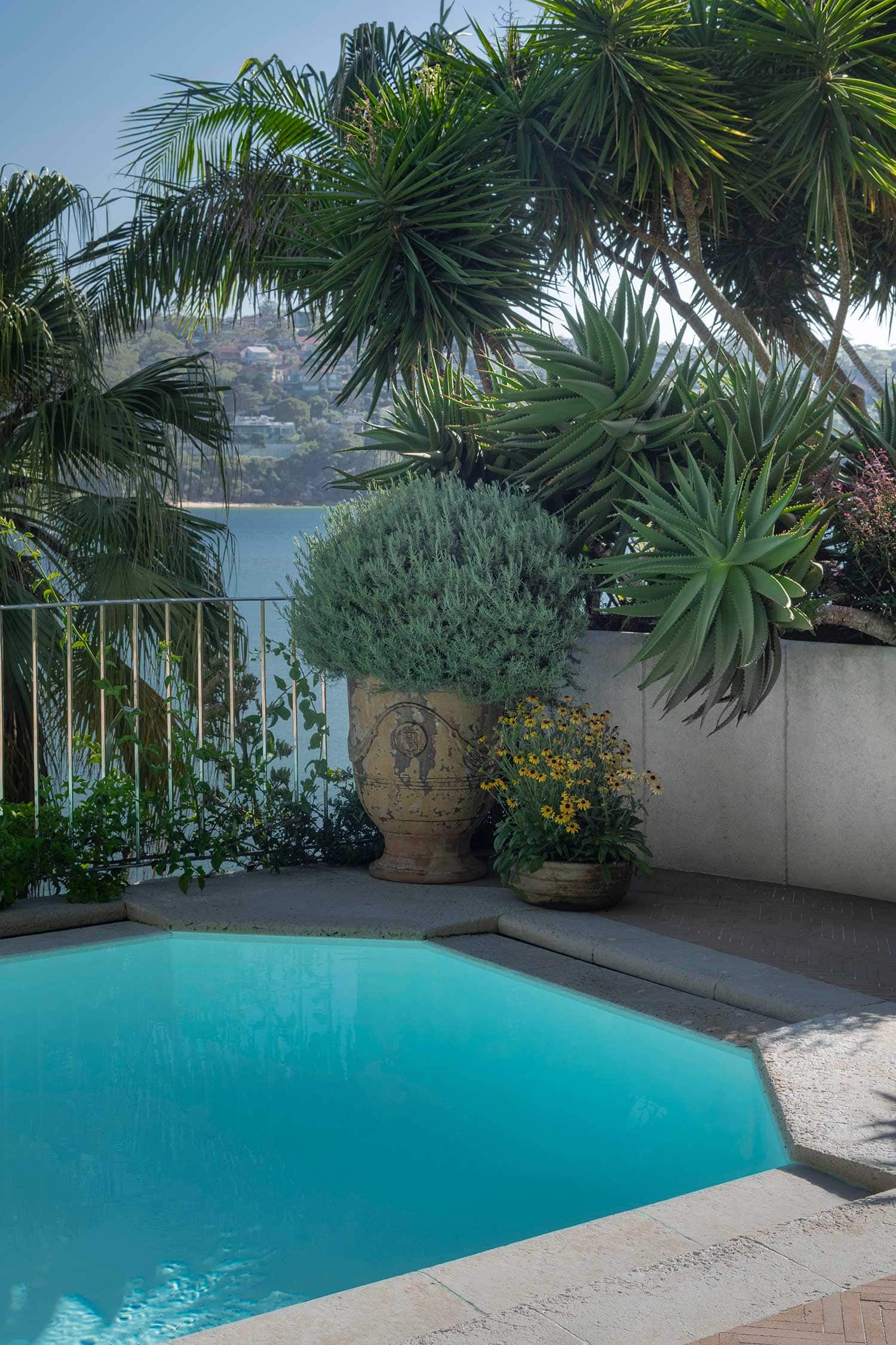 Landscape Design VILLA ROSA 05 02 2026 0450