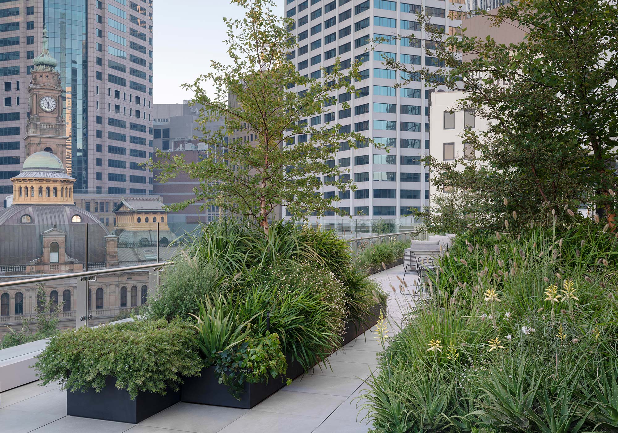 Garden Design Sky Line 0030