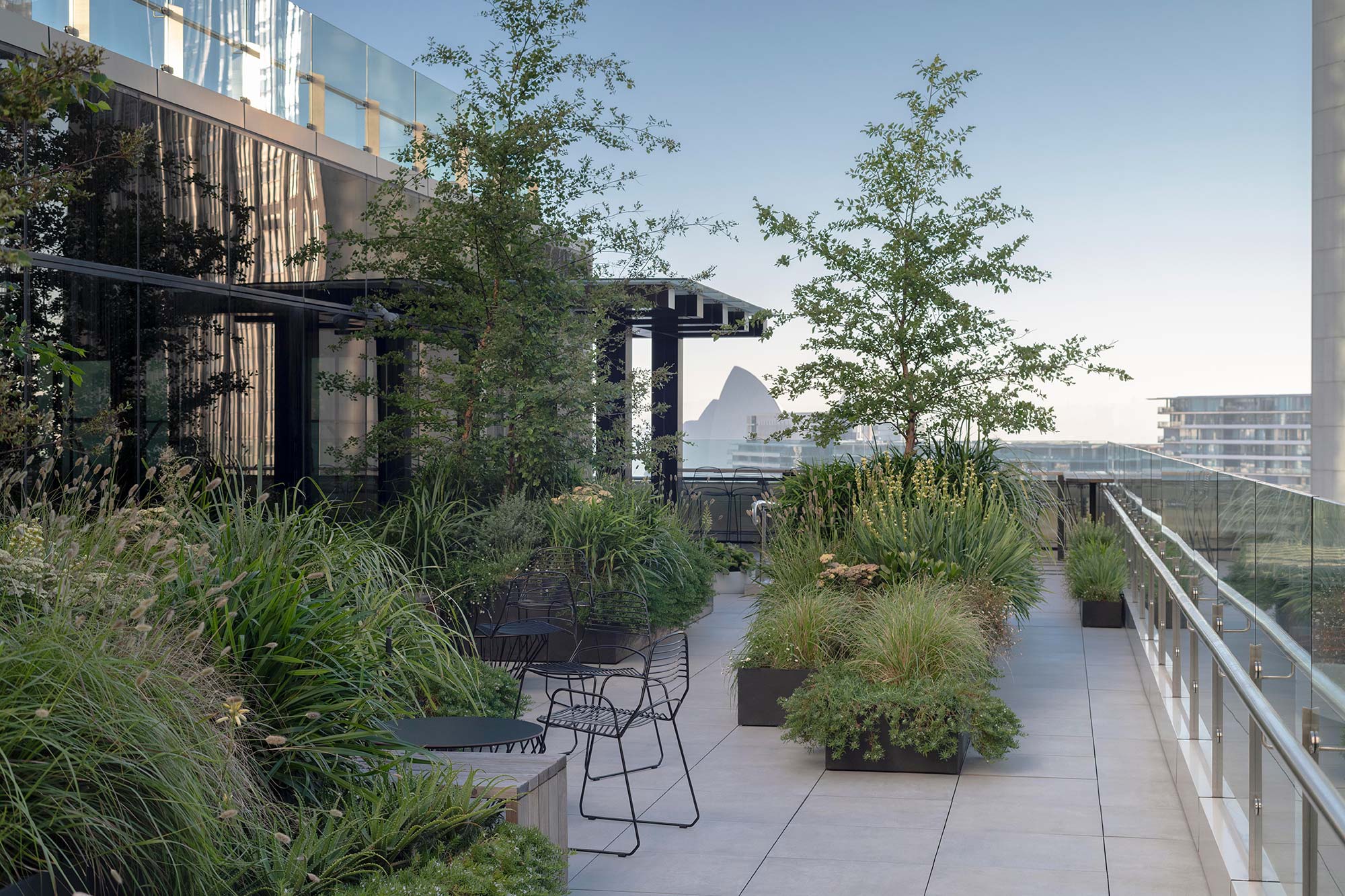 Garden Design Sky Line 0129