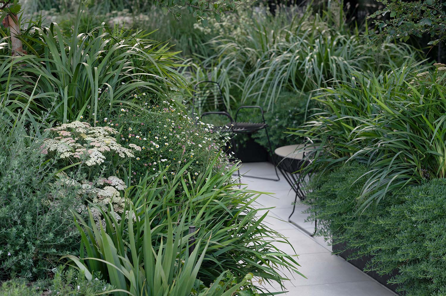 Garden Design Sky Line 0326