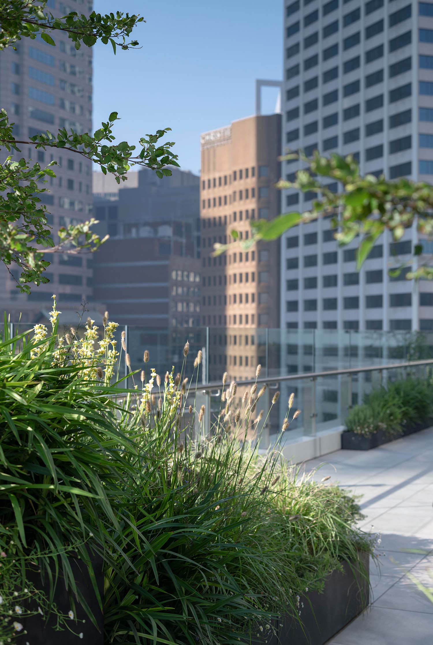 Garden Design Sky Line 0529