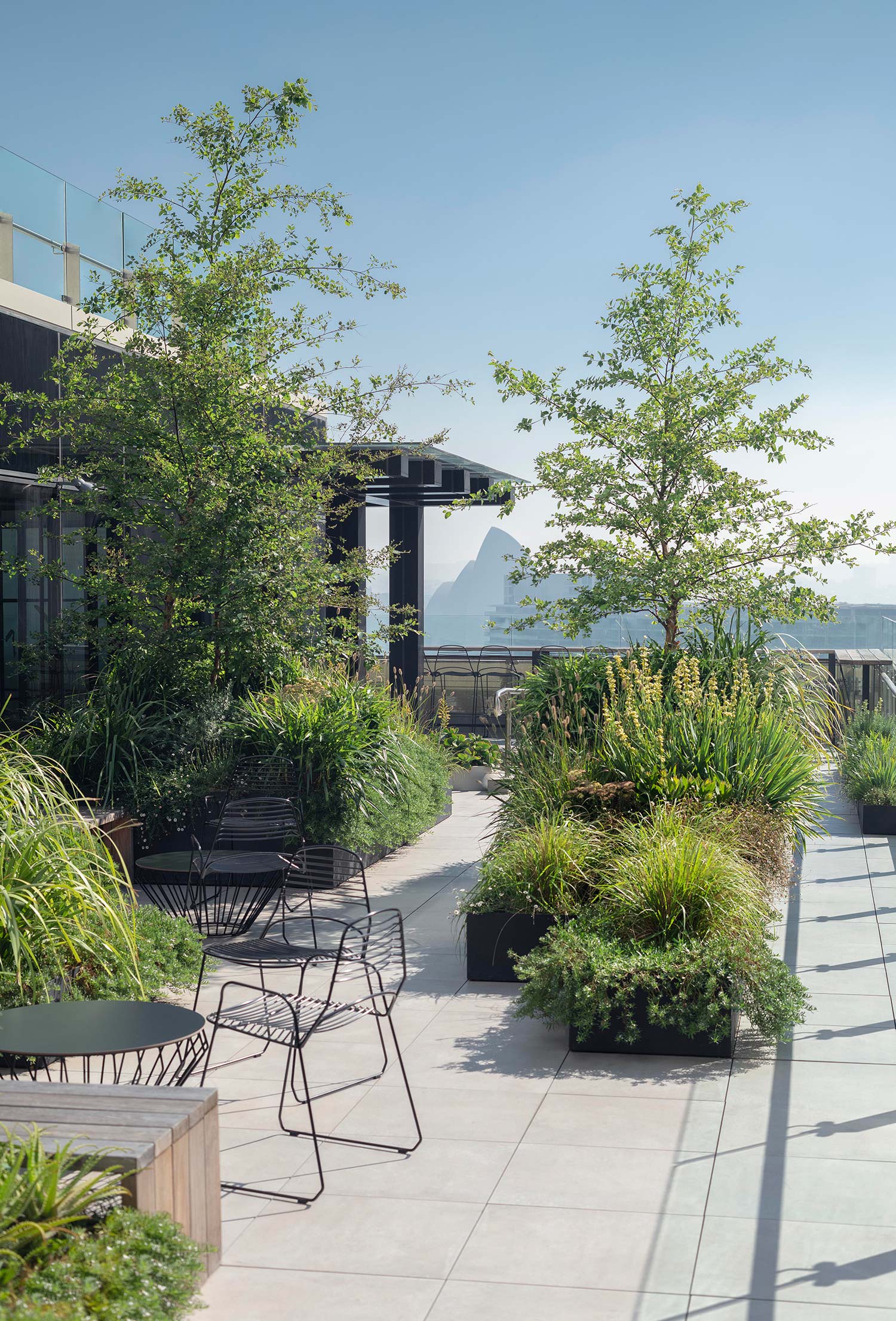 Garden Design Sky Line 0657