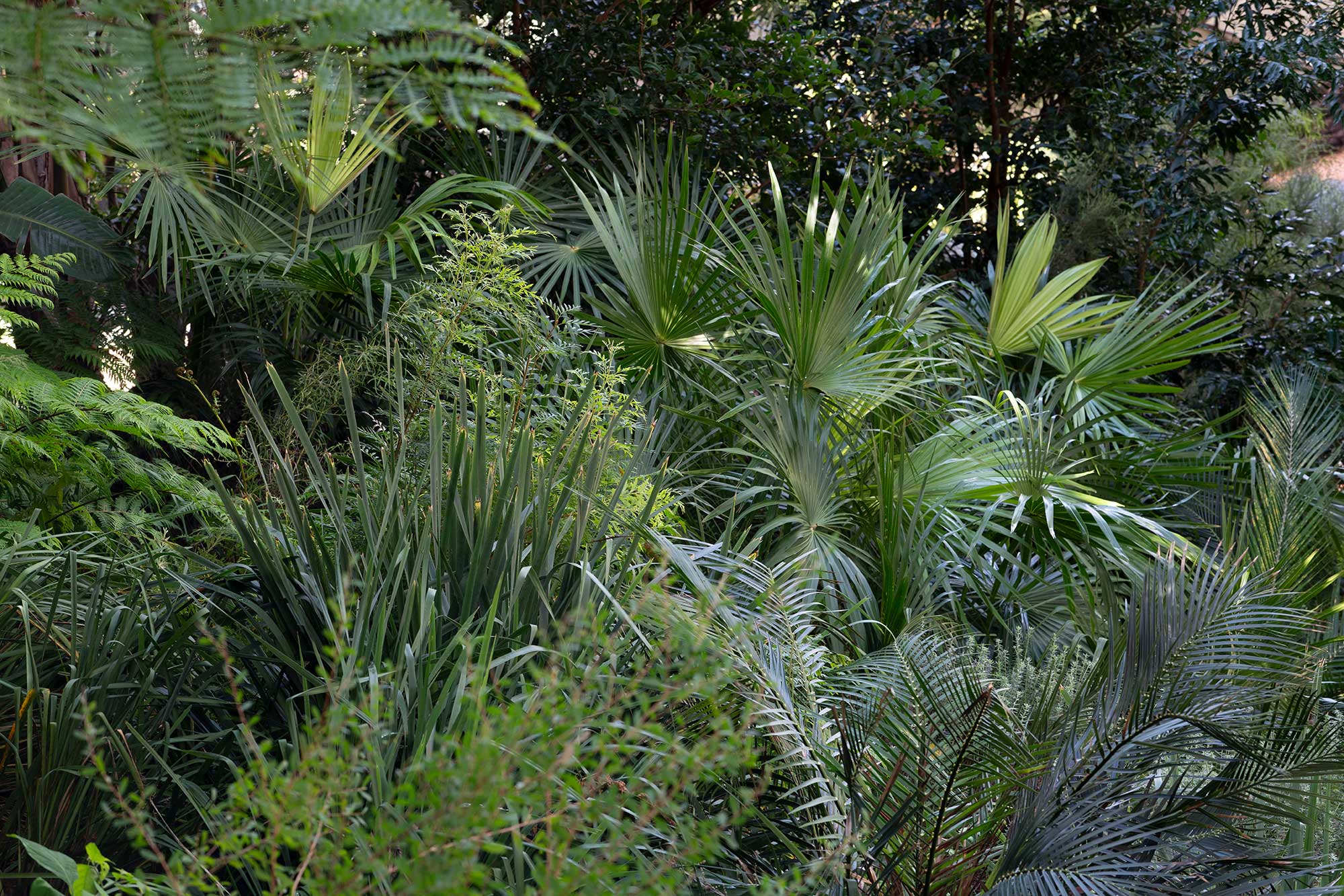 Landscape Architects CRANE LODGE 19 03 2024 0648