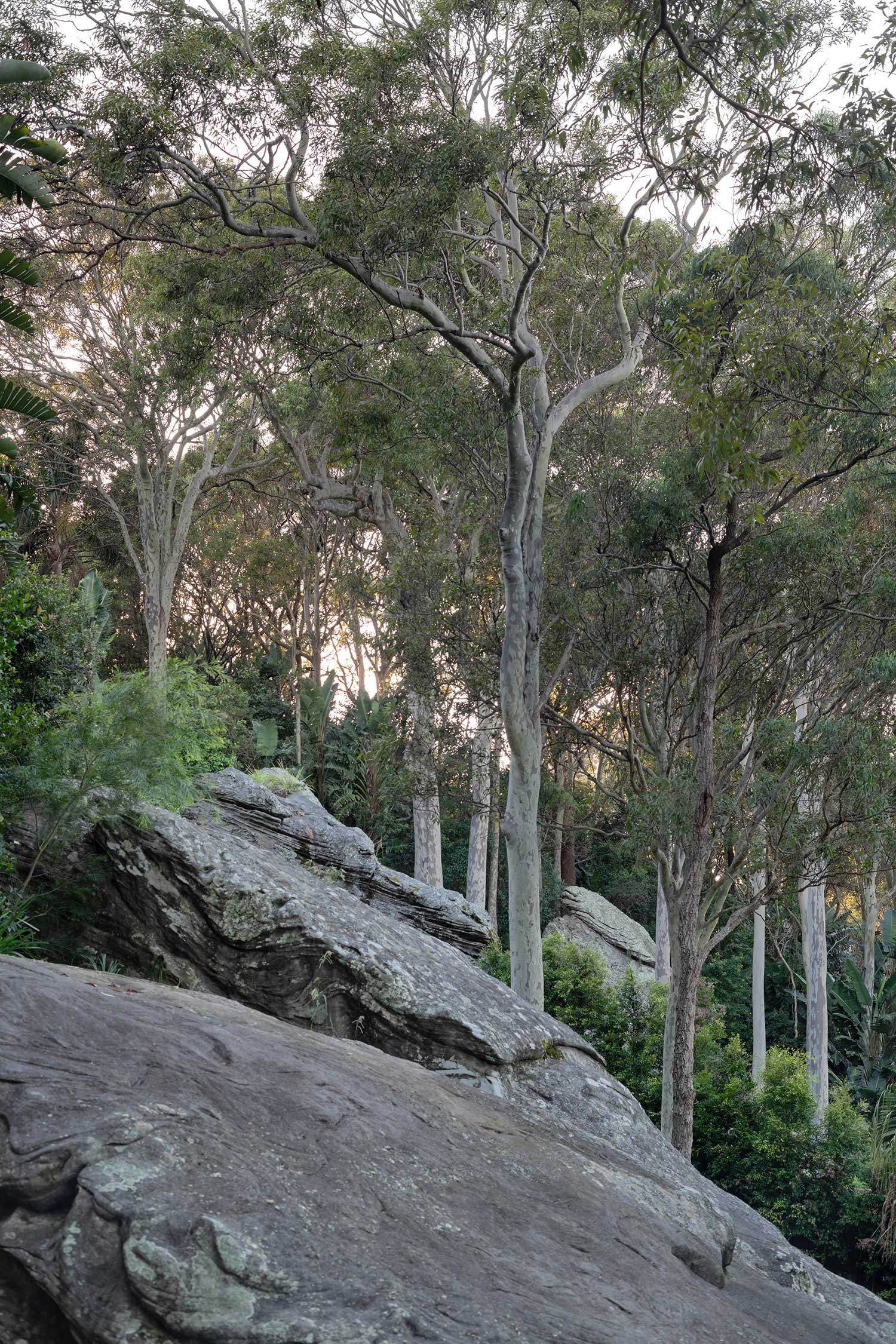 Landscape Architects CRANE LODGE 22 03 2022 0041B