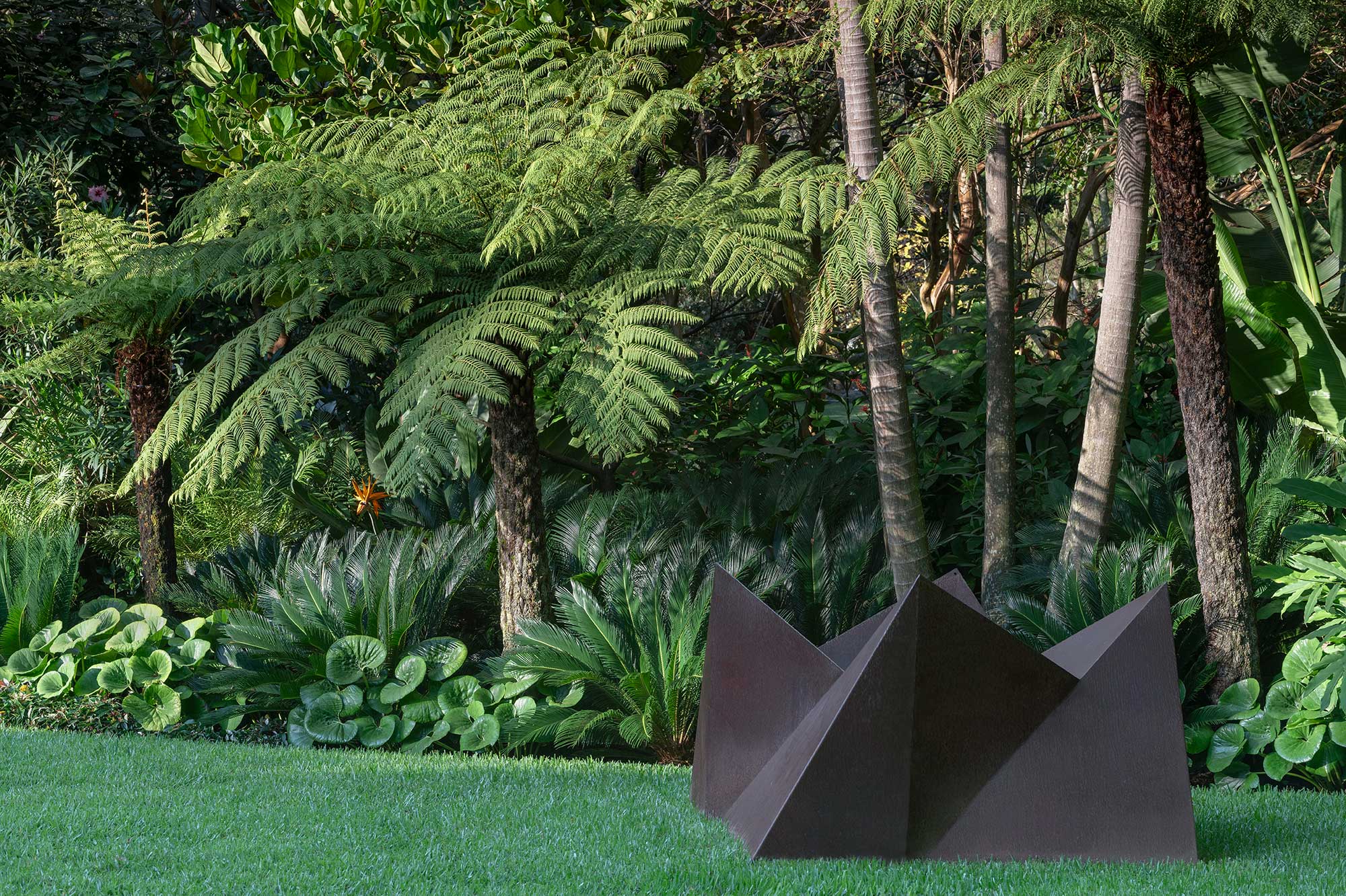 Landscape Architecture MALUHIA 03 04 2025 091