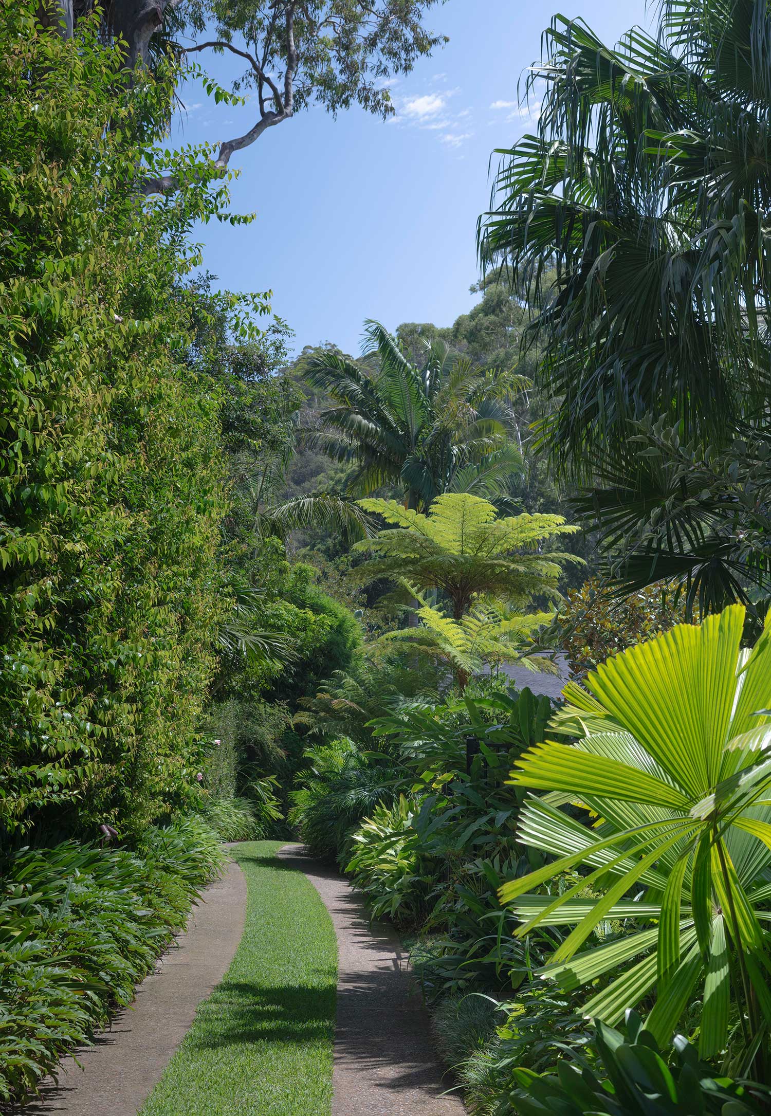 Landscape Architecture RUSKIN ROWE 29 02 2024 1102