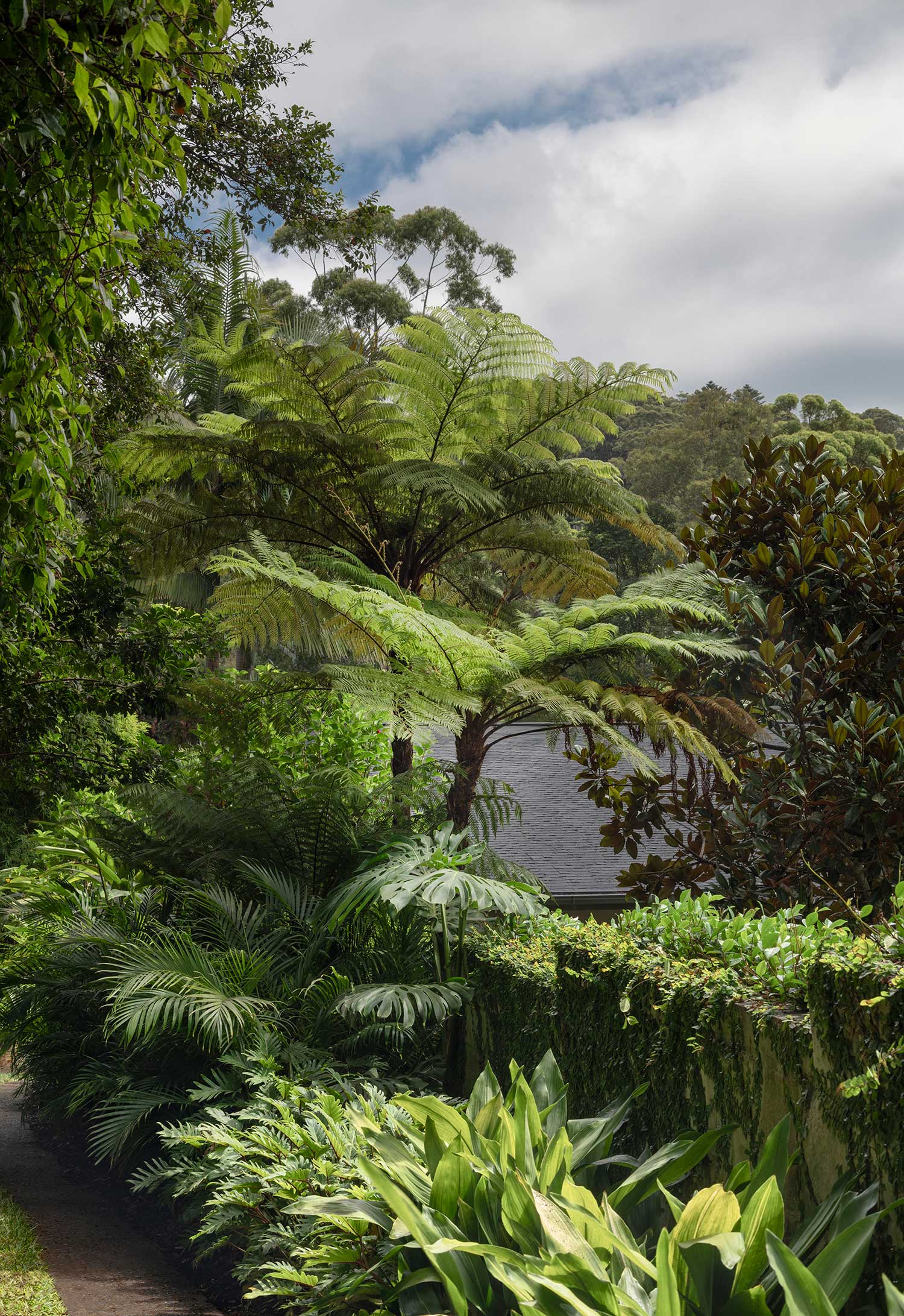 Landscape Architecture RUSKIN ROWE 0508 2