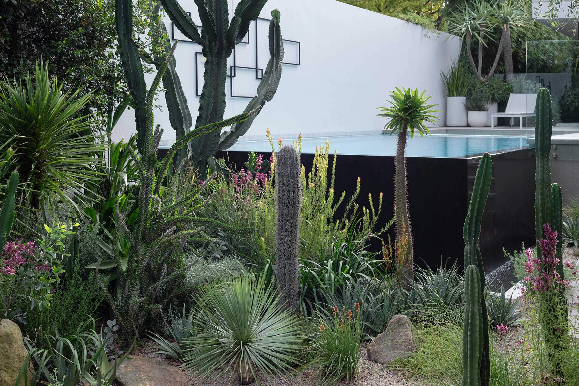Landscape Design COURLAND 13 02 2025 0088