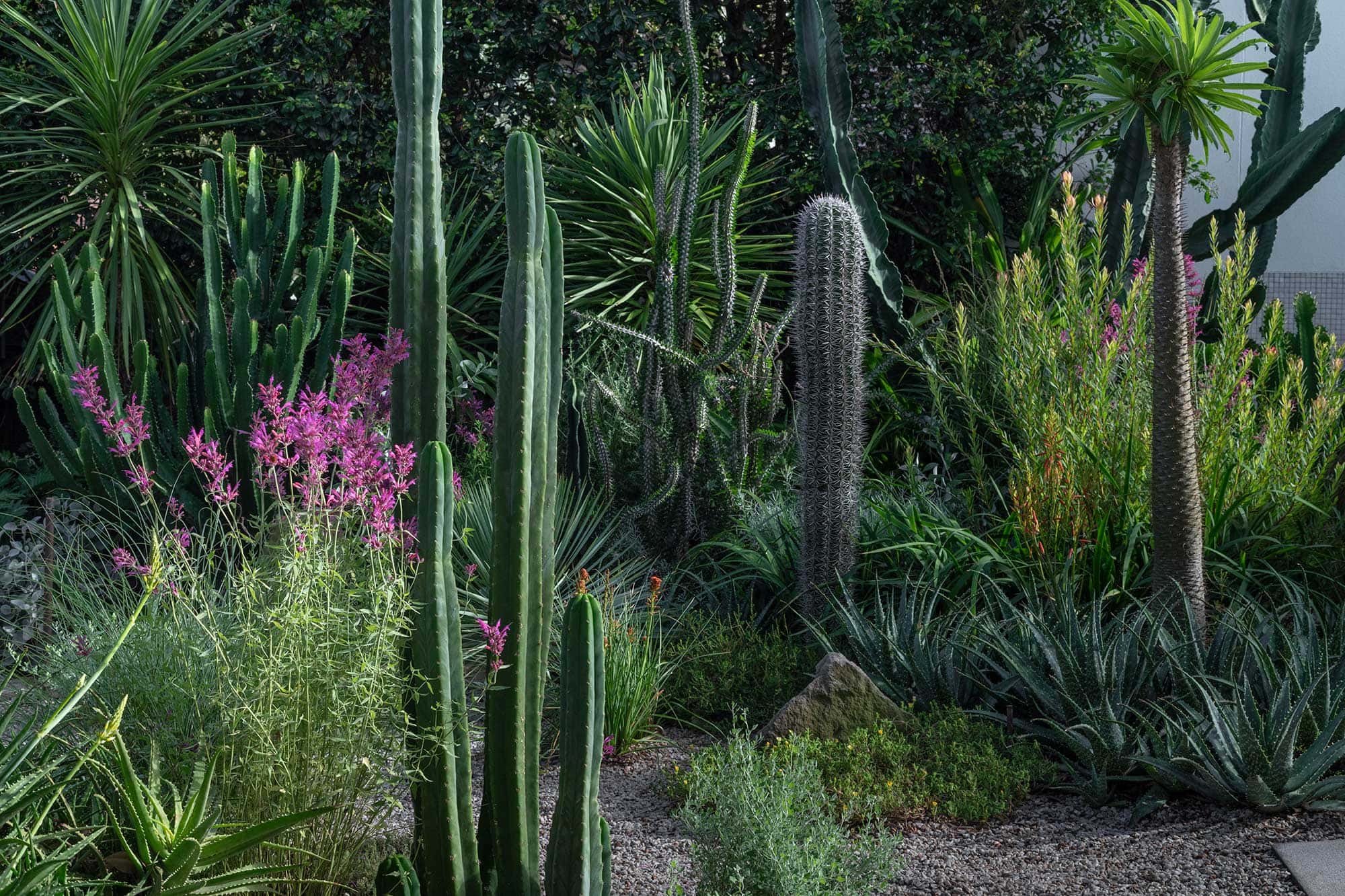 Landscape Design COURLAND 13 02 2025 0375