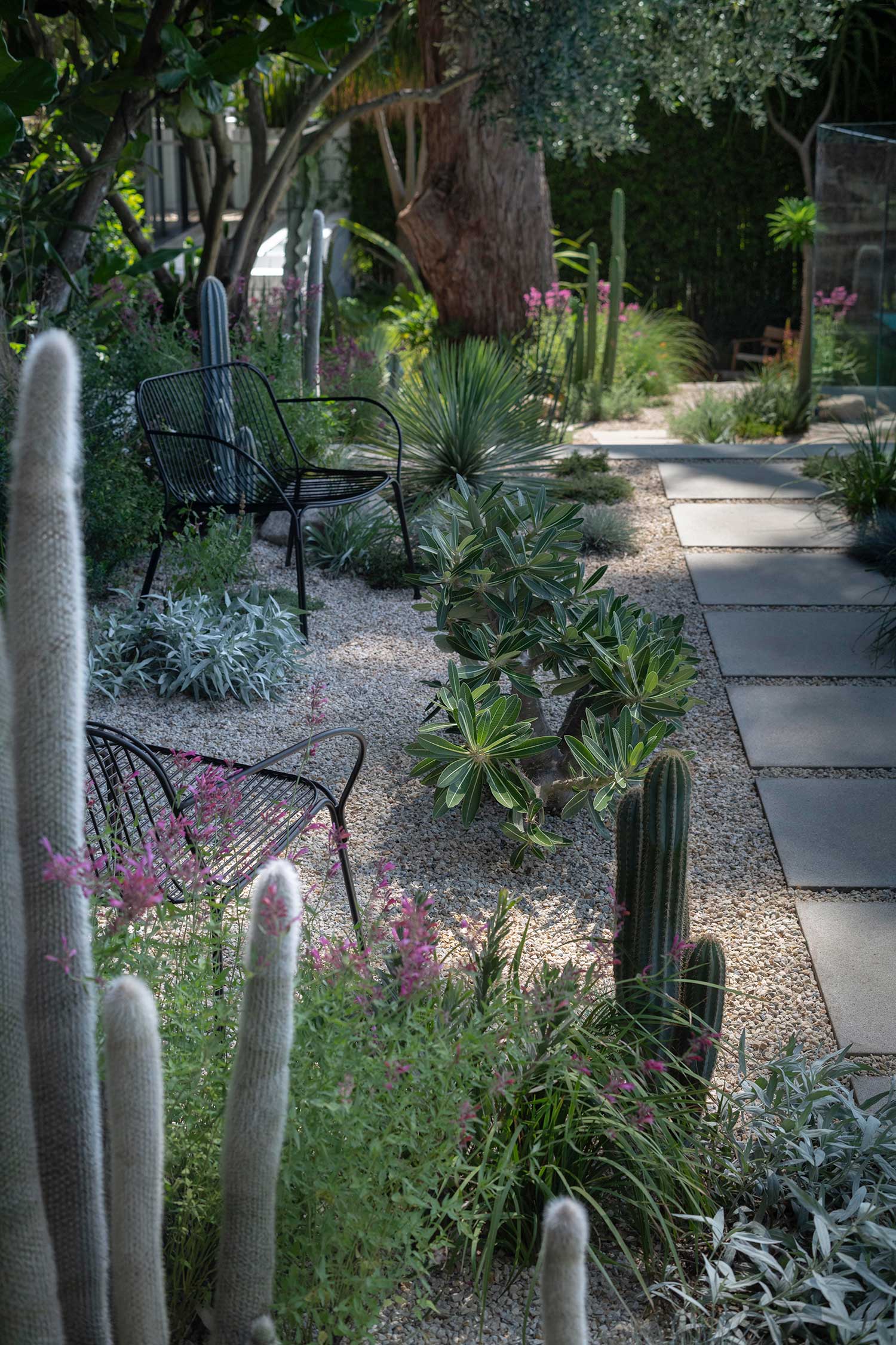 Landscape Design COURLAND 13 02 2025 1379