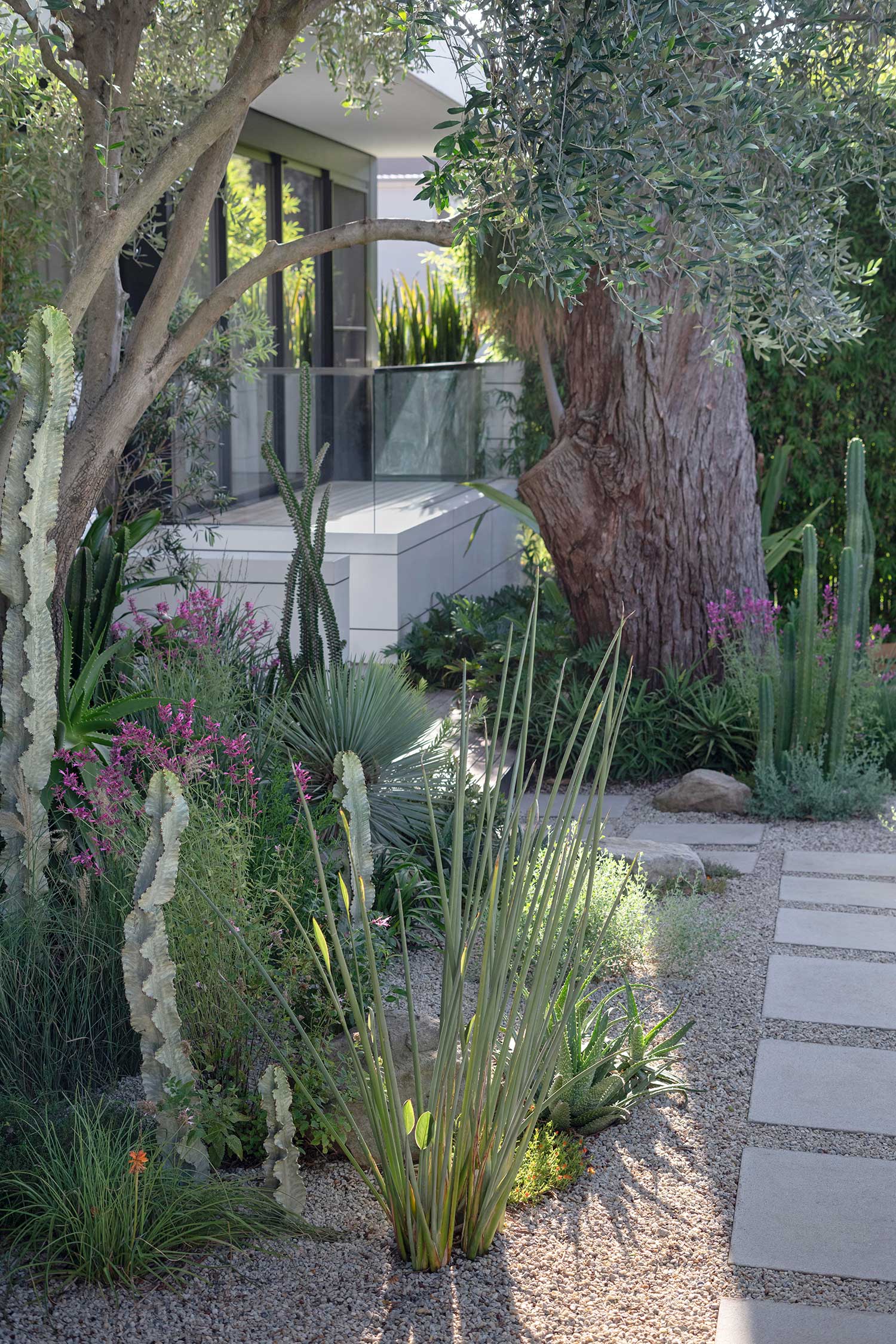 Landscape Design COURLAND 13 02 2025 1576