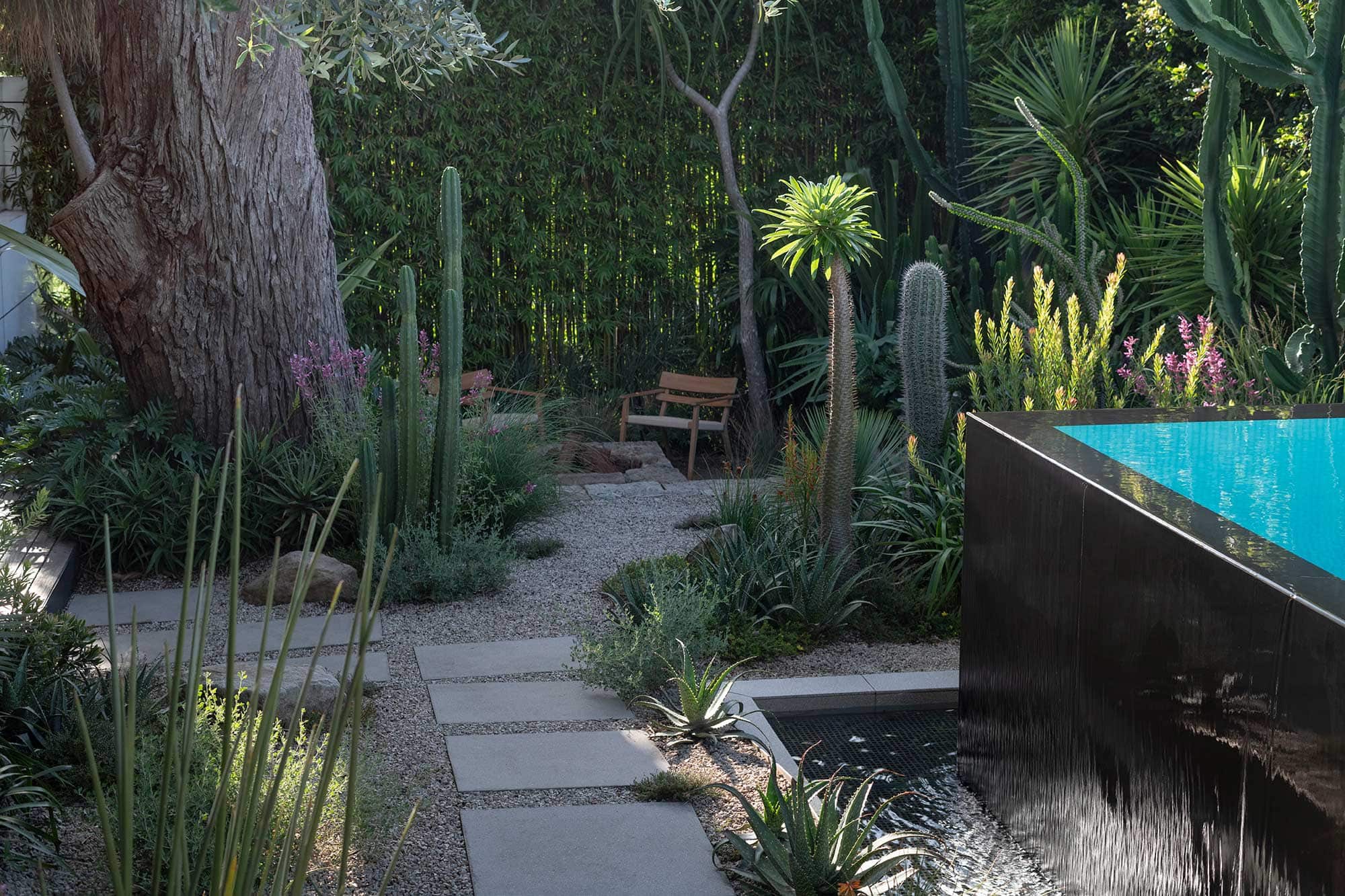 Landscape Design COURLAND 13 02 2025 1592