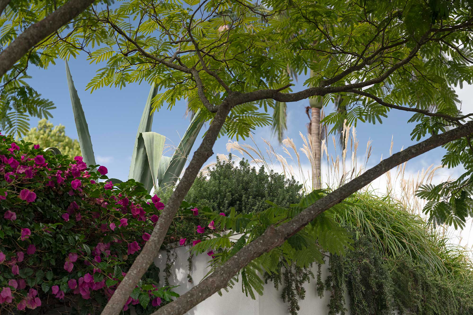 Landscape Design MIRROR HOUSE 17 12 2025 0331