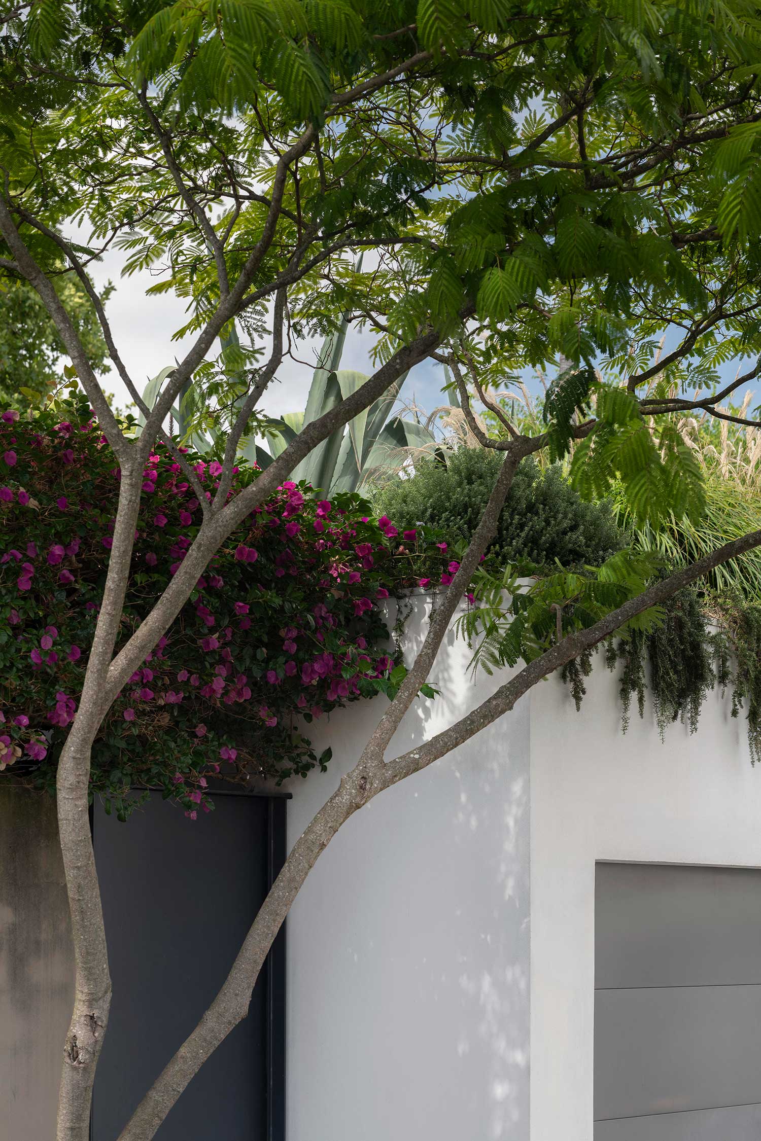 Landscape Design MIRROR HOUSE 17 12 2025 0440