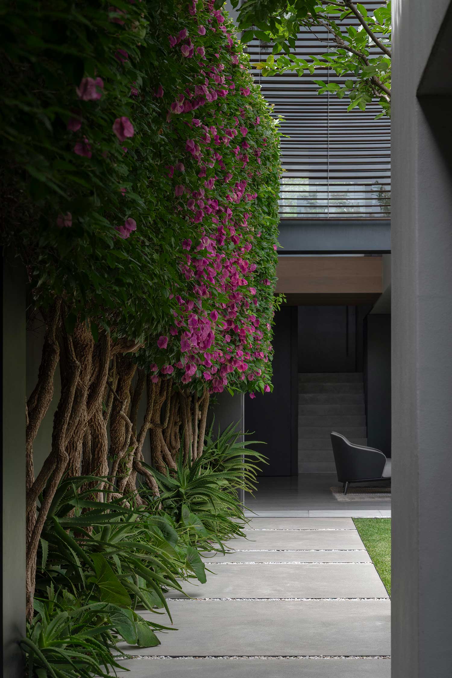 Landscape Design MIRROR HOUSE 17 12 2025 0511