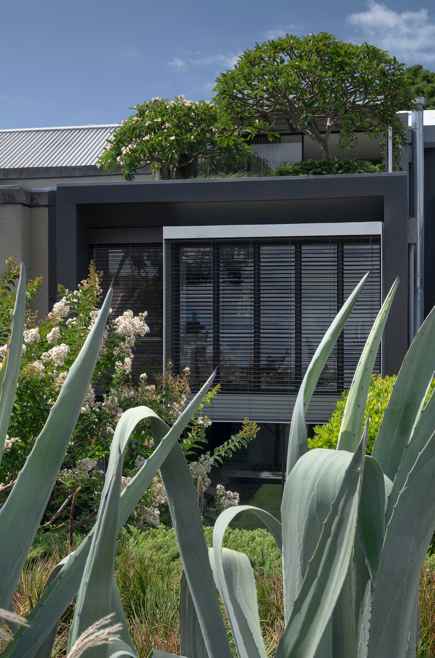 Landscape Design MIRROR HOUSE 17 12 2025 0533