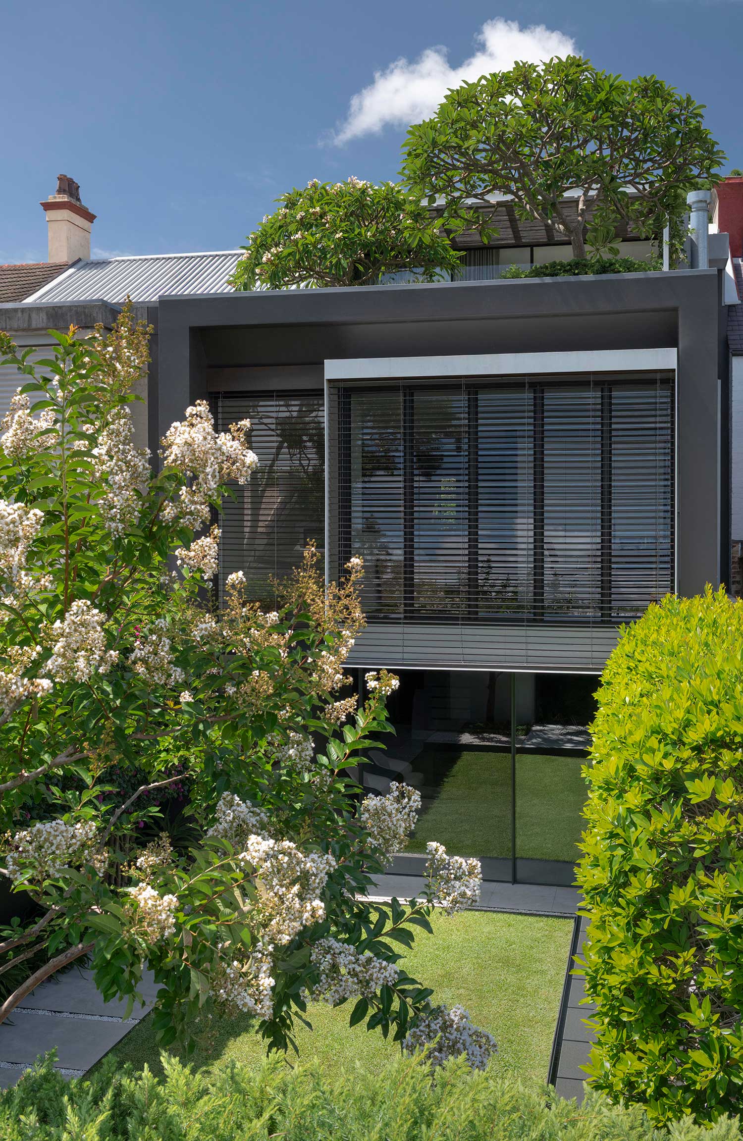 Landscape Design MIRROR HOUSE 17 12 2025 0587