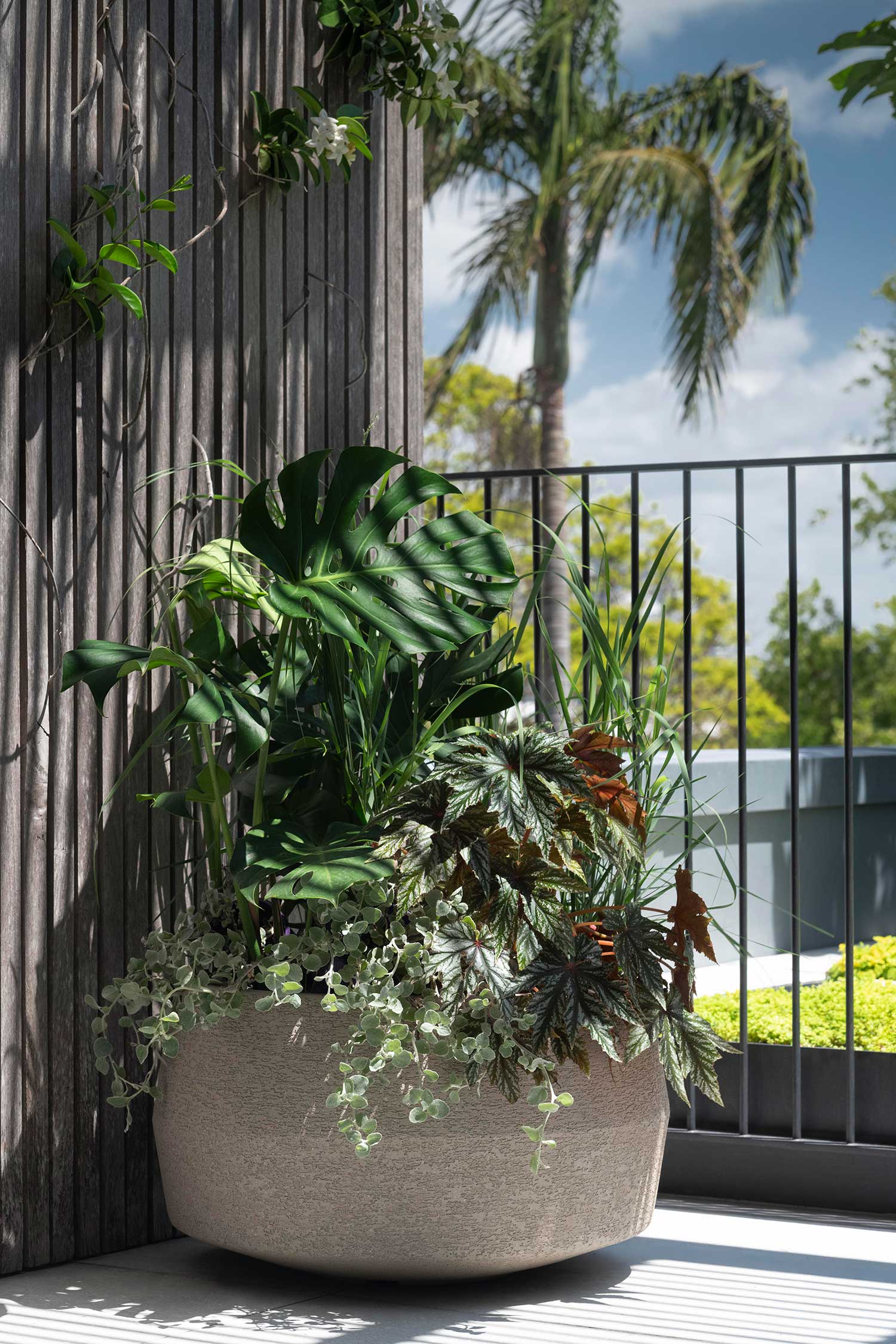 Landscape Design MIRROR HOUSE 17 12 2025 0676