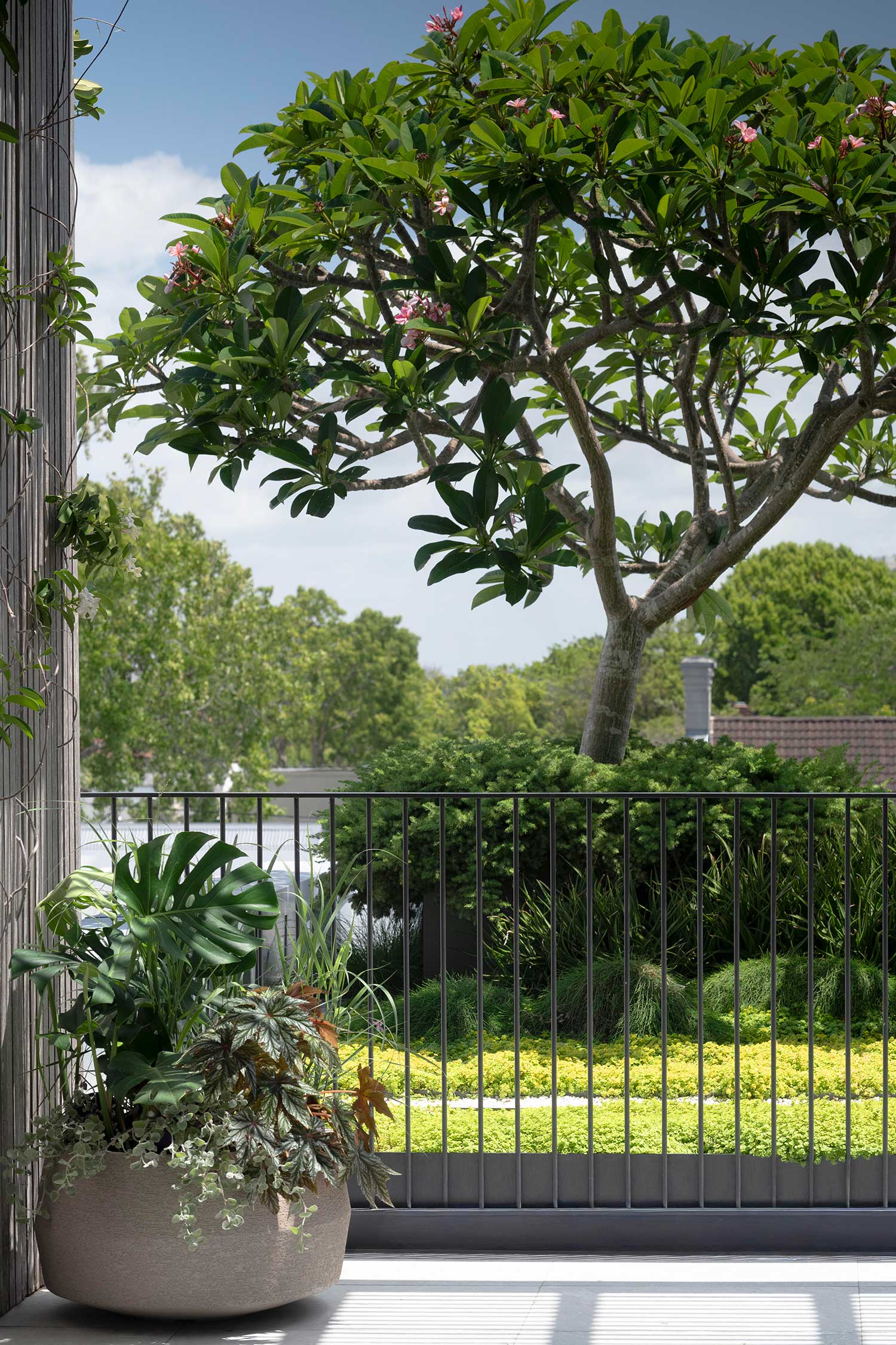 Landscape Design MIRROR HOUSE 17 12 2025 0716
