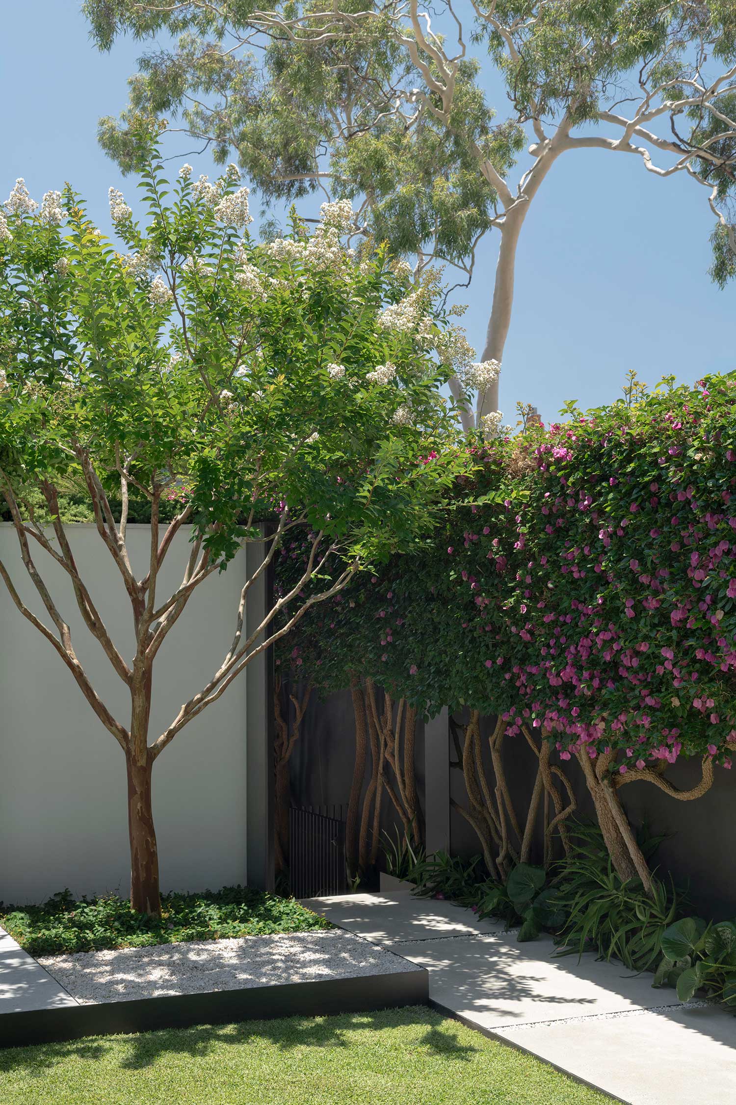 Landscape Design MIRROR HOUSE 17 12 2025 0946