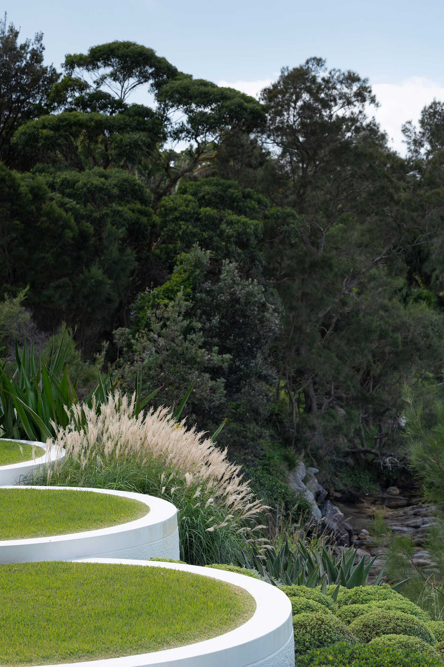 Landscape Designer COVE HOUSE 15 02 2022 0577
