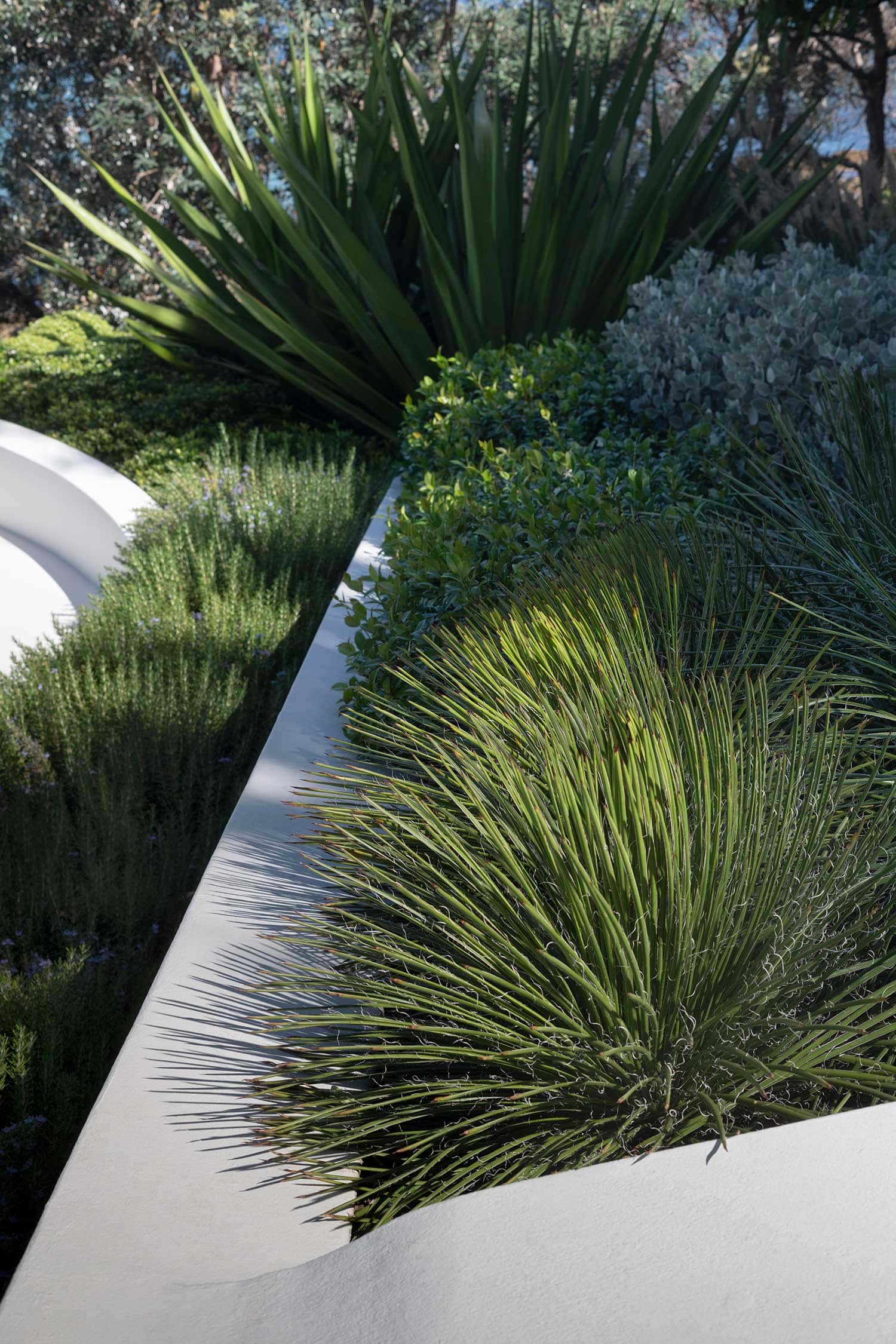 Landscape Designer COVE HOUSE 15 02 2022 0909