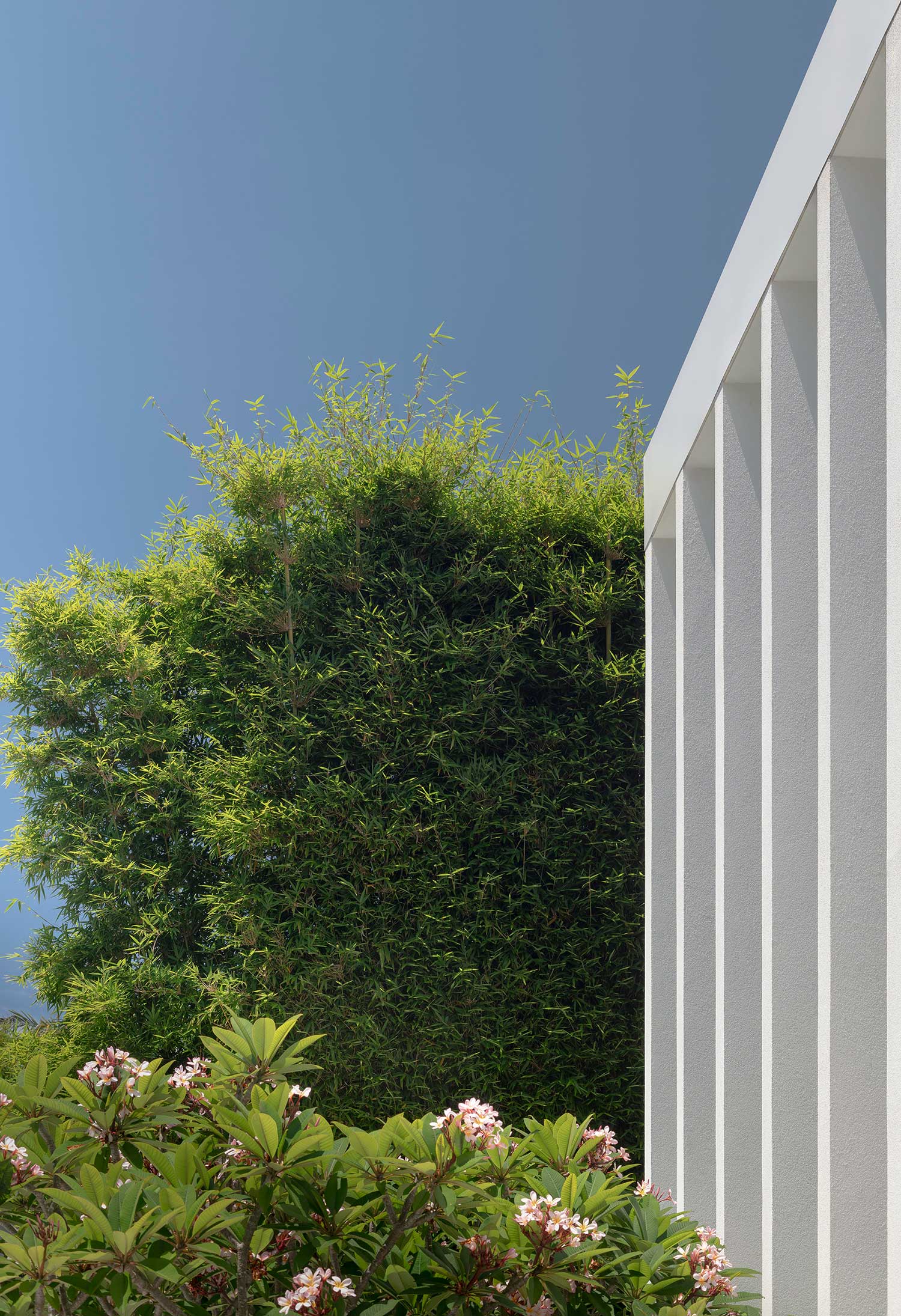 SG Landscape Design 25 01 2023 0720