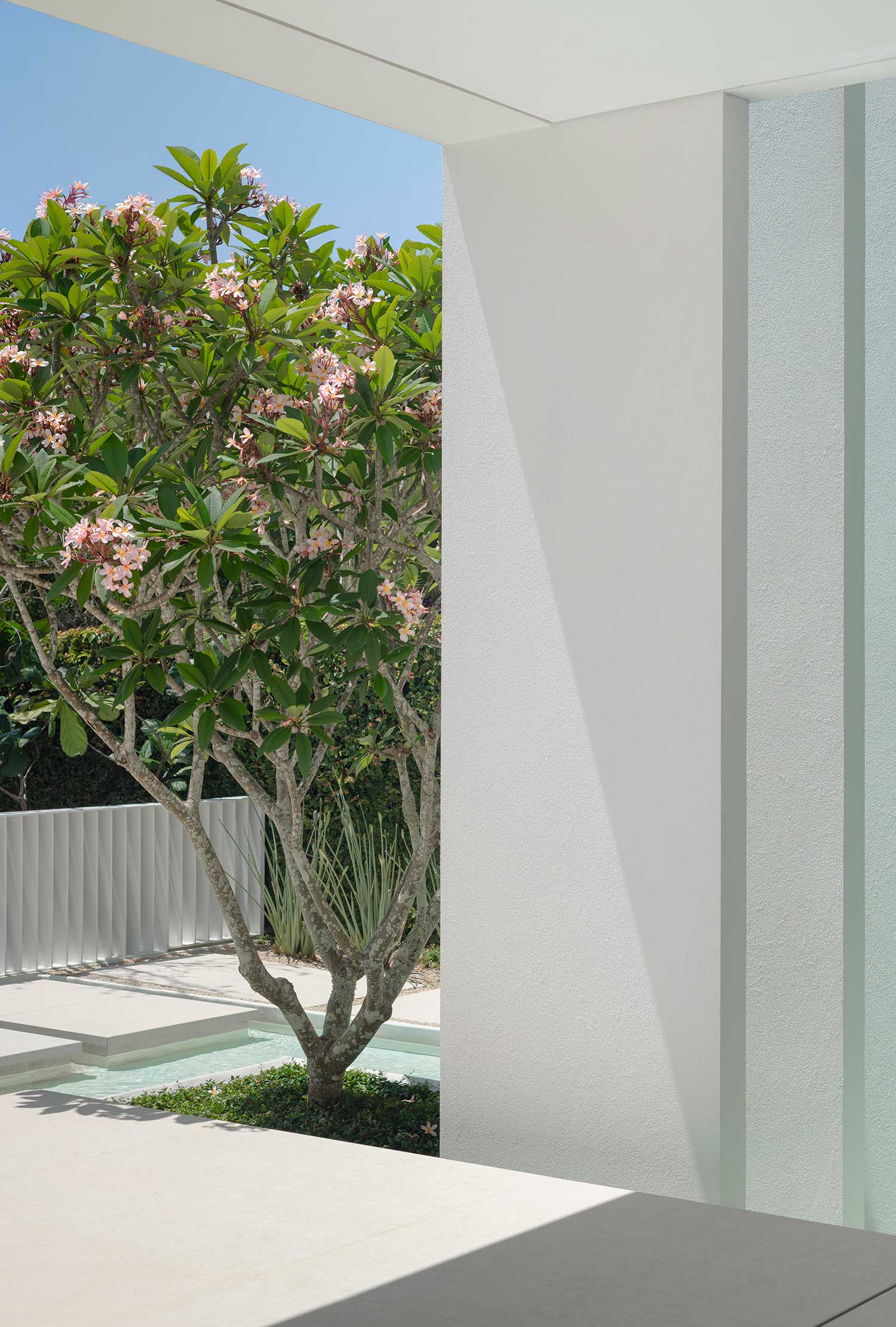 SG Landscape Design 25 01 2023 0741
