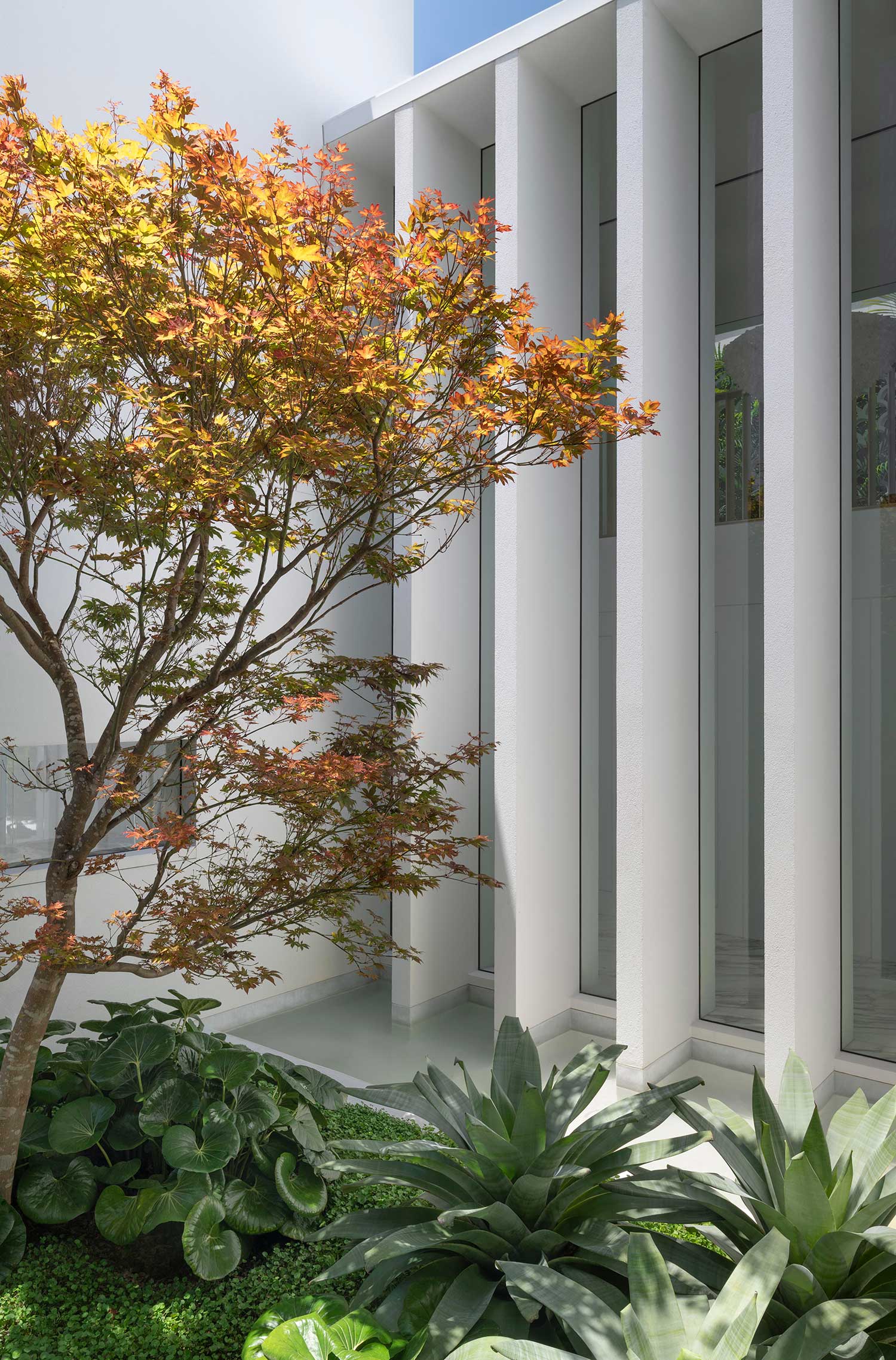 SG Landscape Design 25 01 2023 0796DD