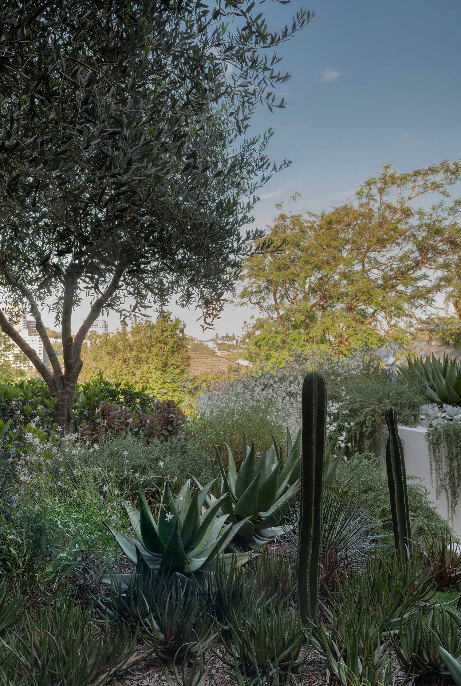 Garden Designer KULGOA 18 01 2023 0051